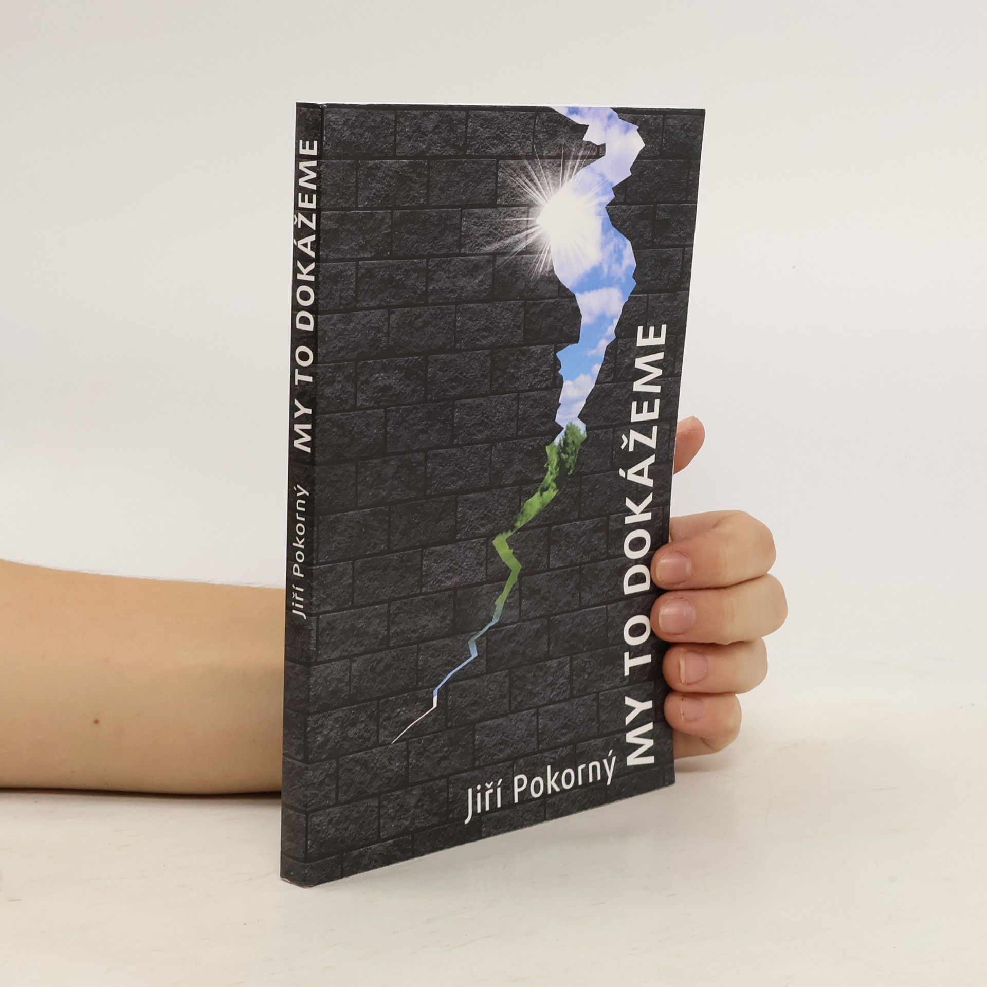 Jiří Pokorný My to dokážeme