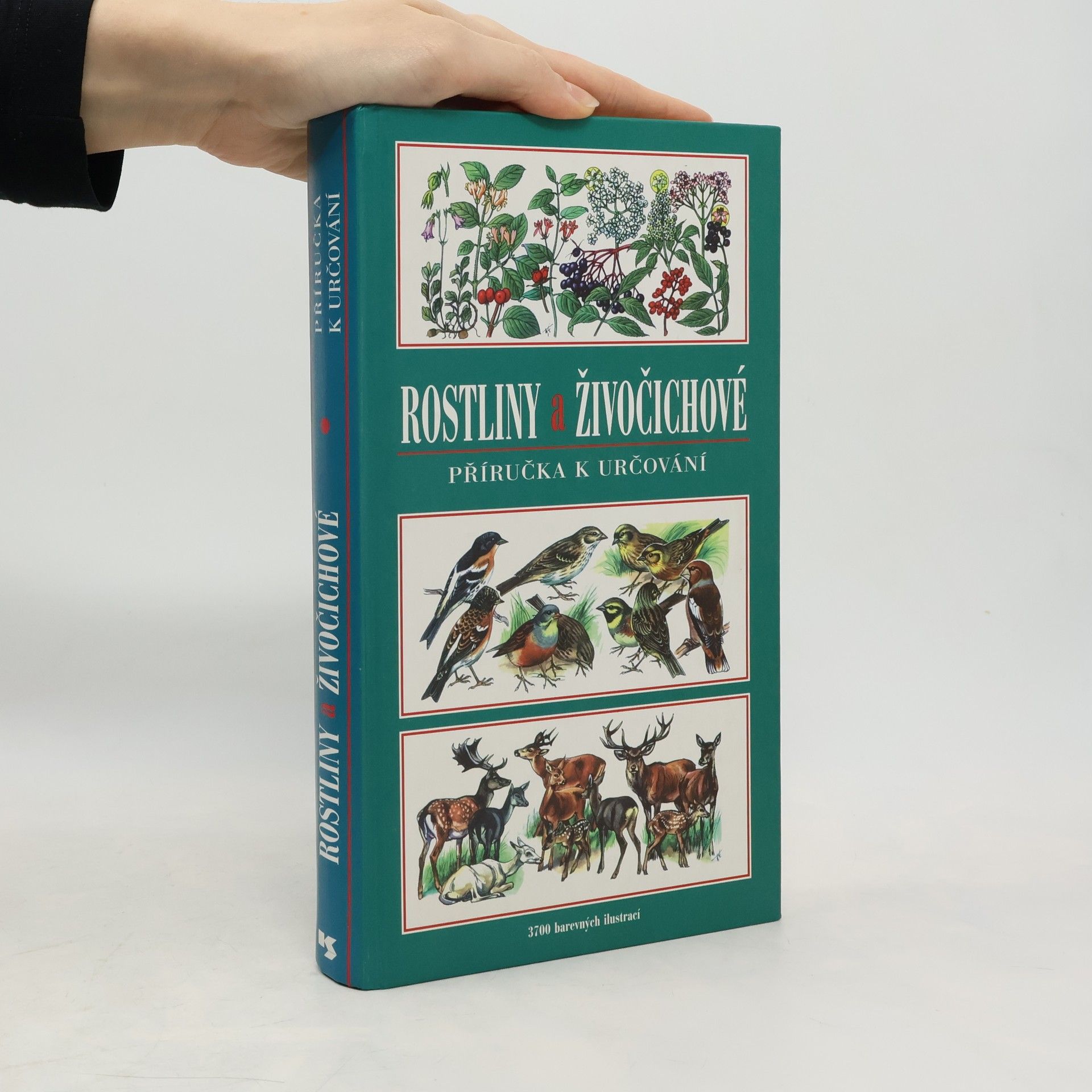 Harry Garms Rostliny a živočichové. Příručka k určování