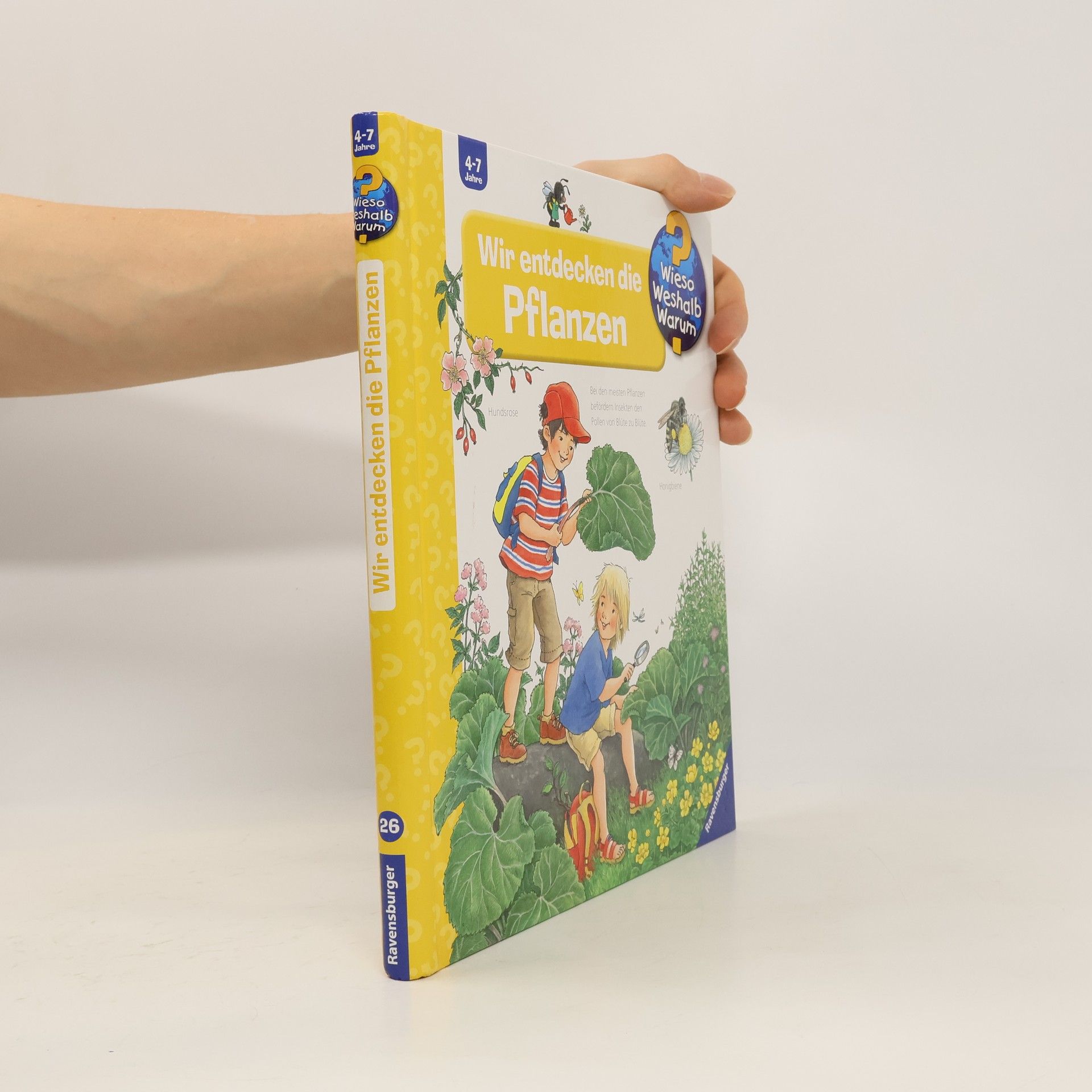 Angela Weinhold Wir entdecken die Pflanzen