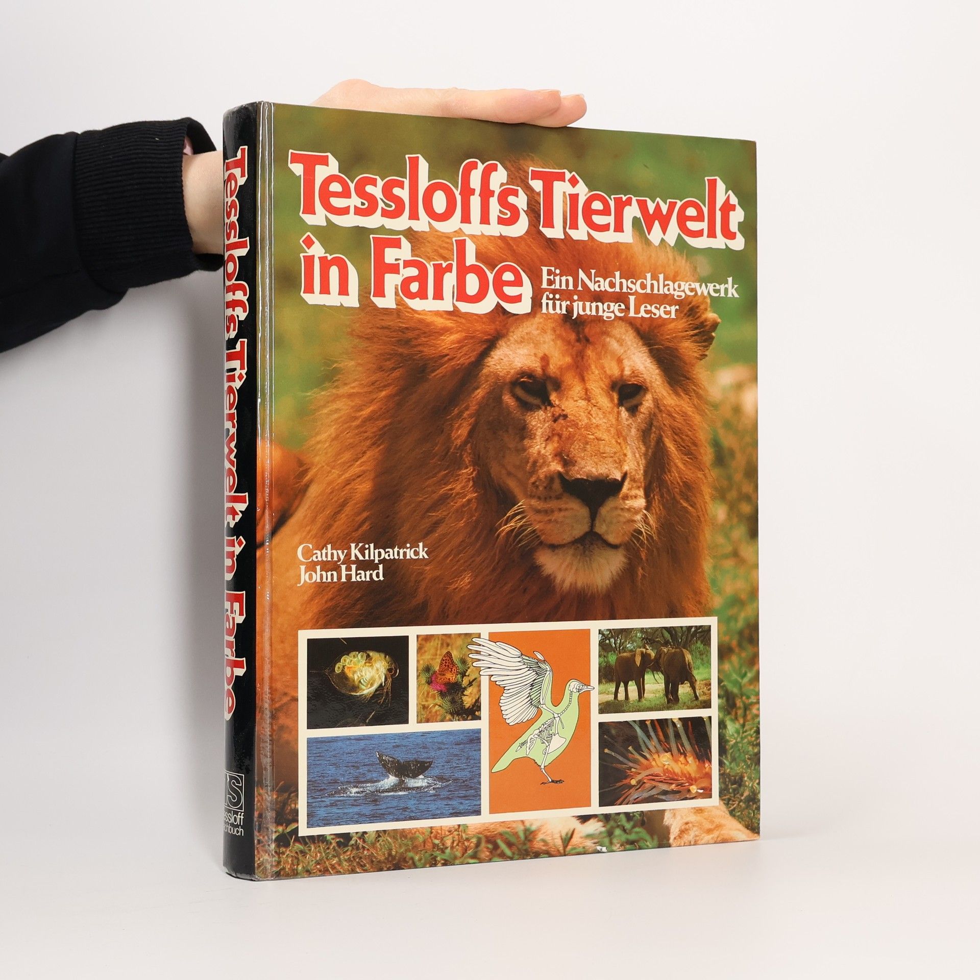 Cathy Kilpatrick Tessloffs Tierwelt in Farbe