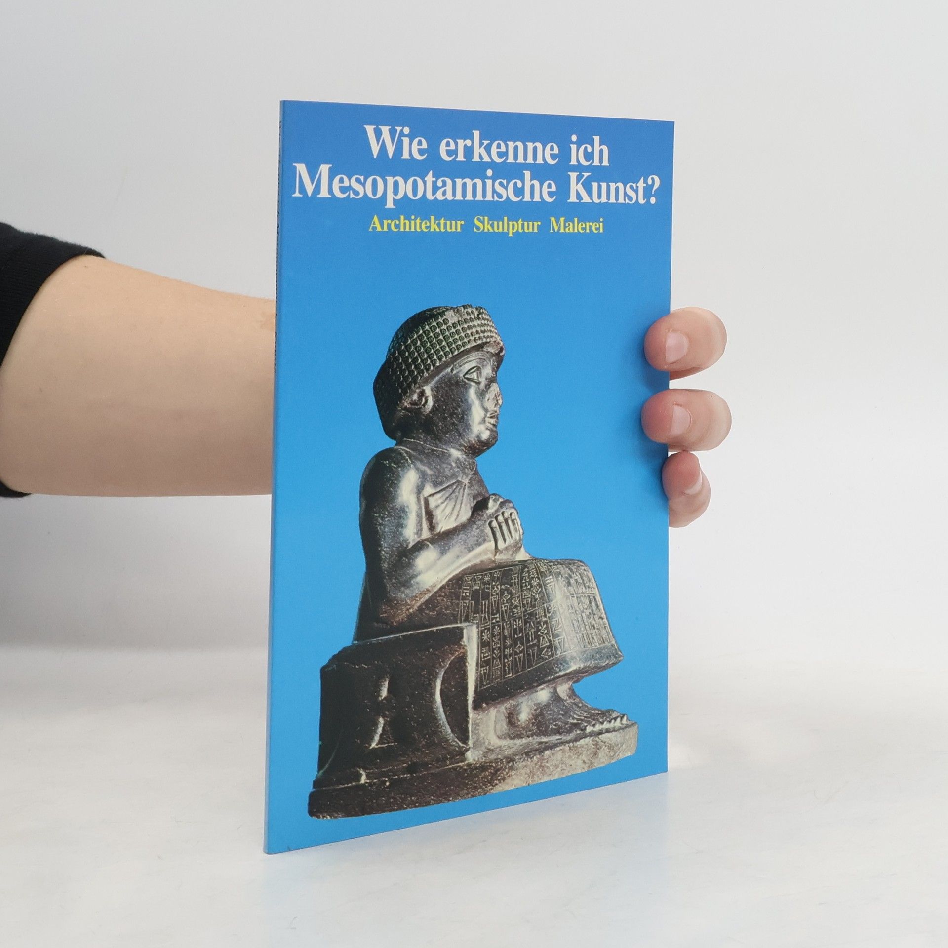 Auteurscollectief Wie erkenne ich Mesopotamische Kunst?