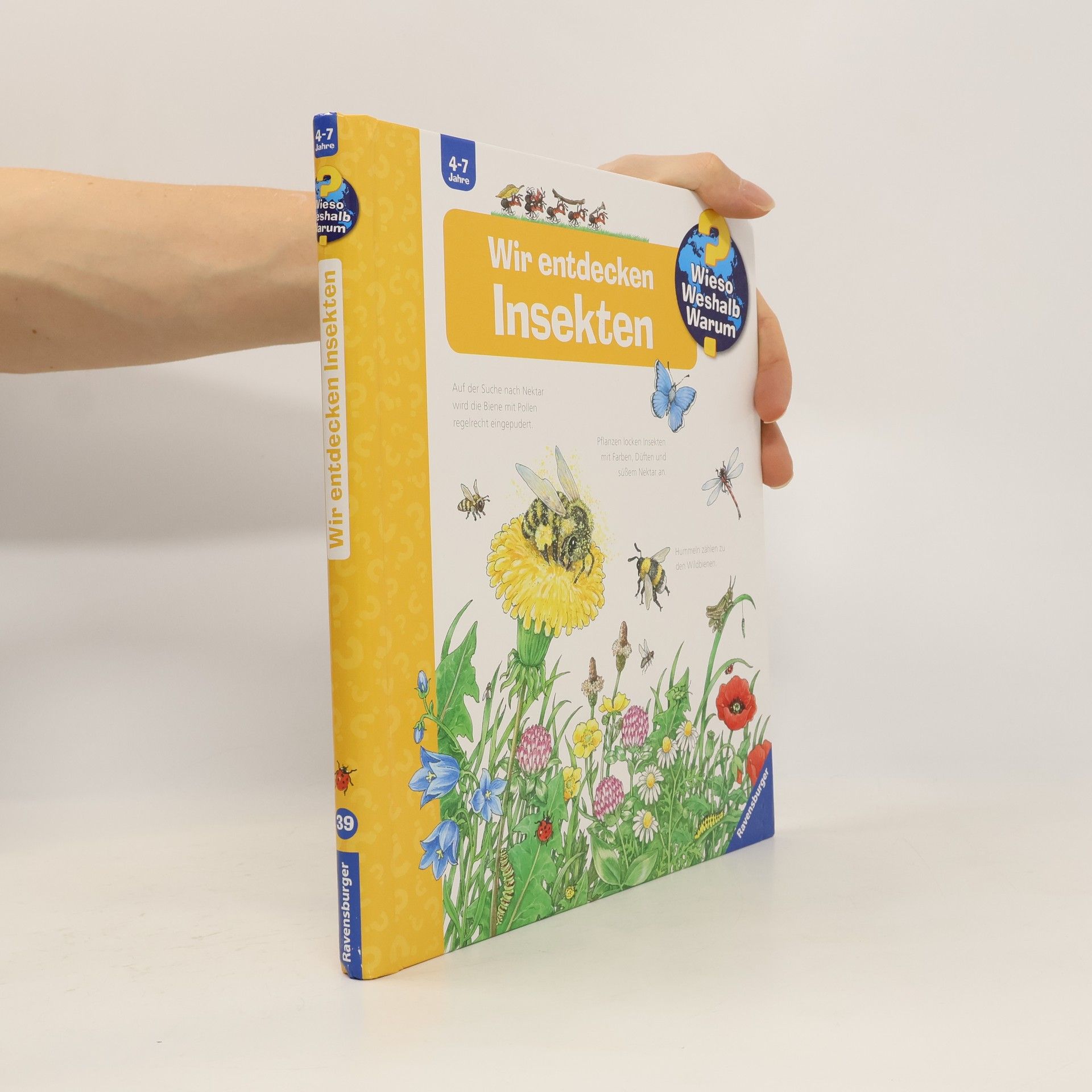 Angela Weinhold Wir entdecken Insekten