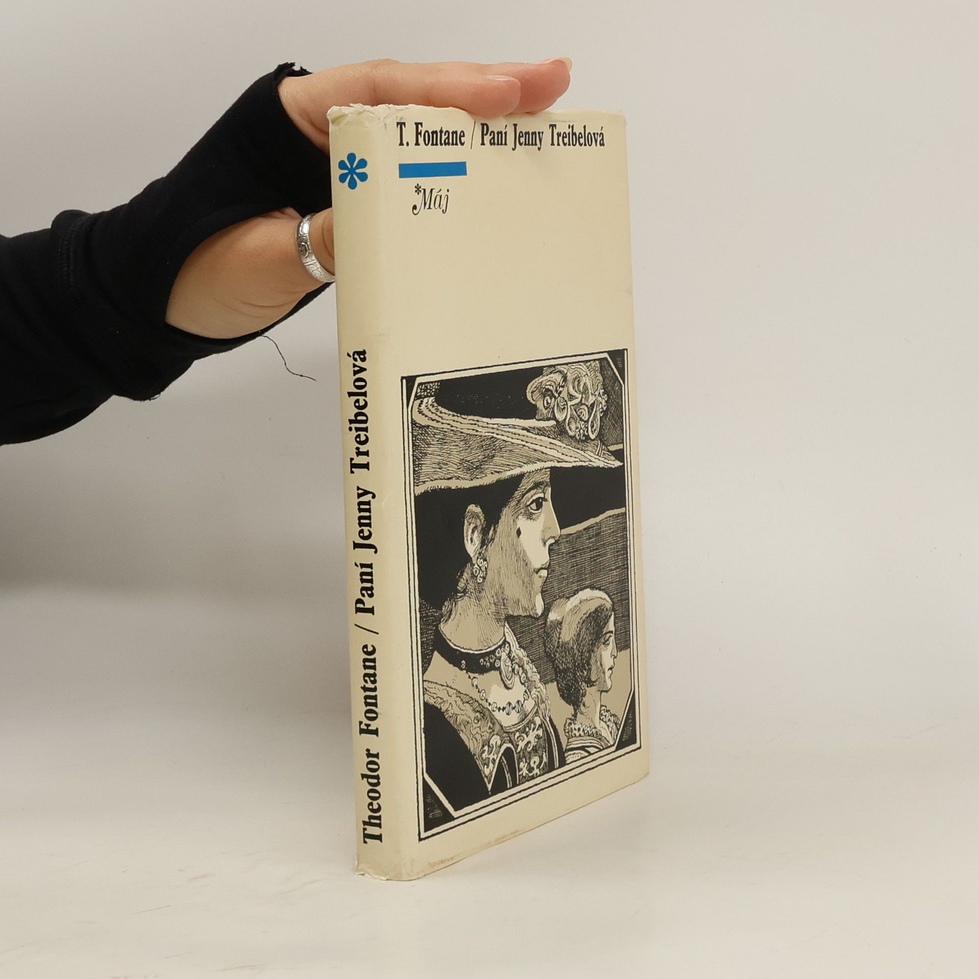 Theodor Fontane Paní Jenny Treibelová