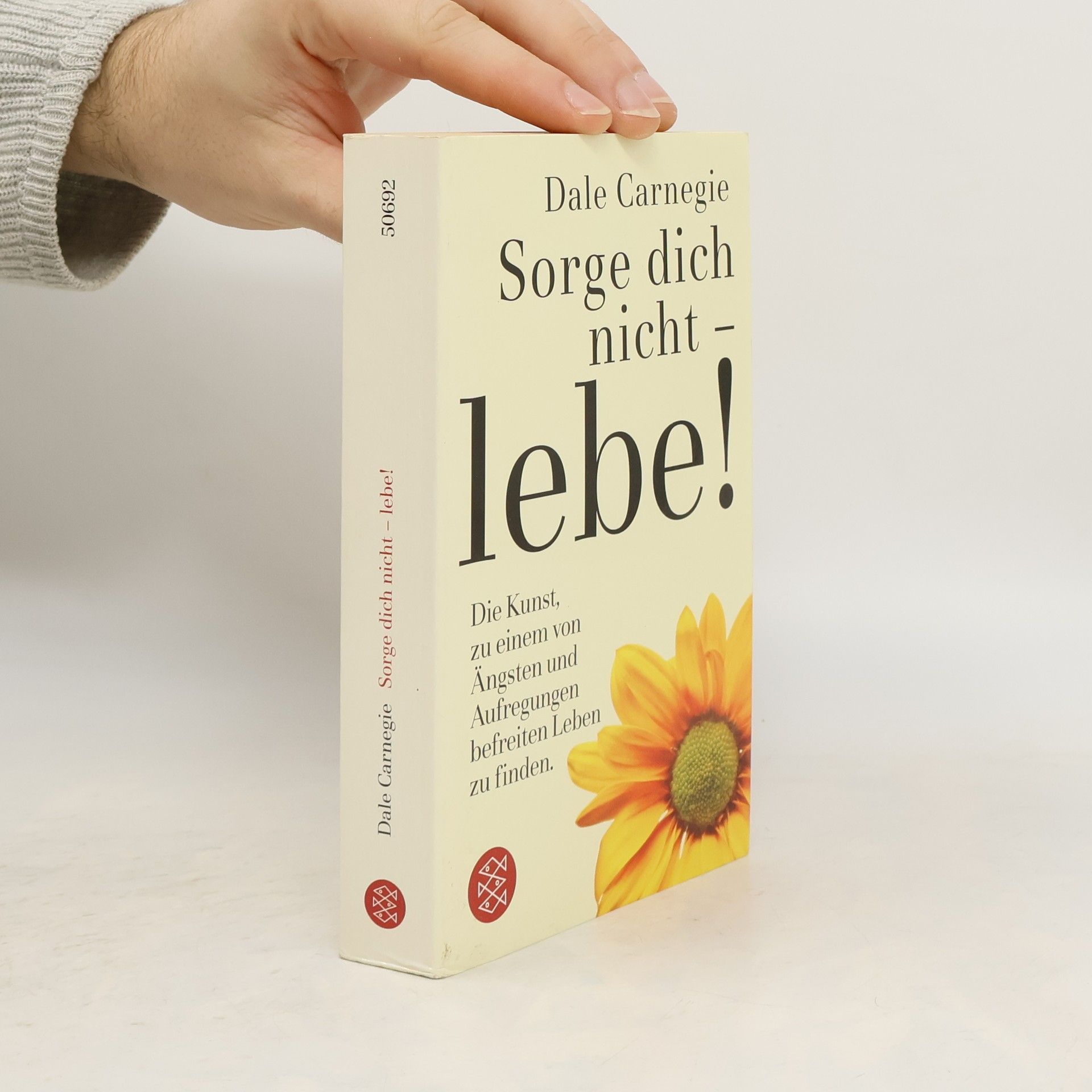 Dale Carnegie Sorge dich nicht - lebe!