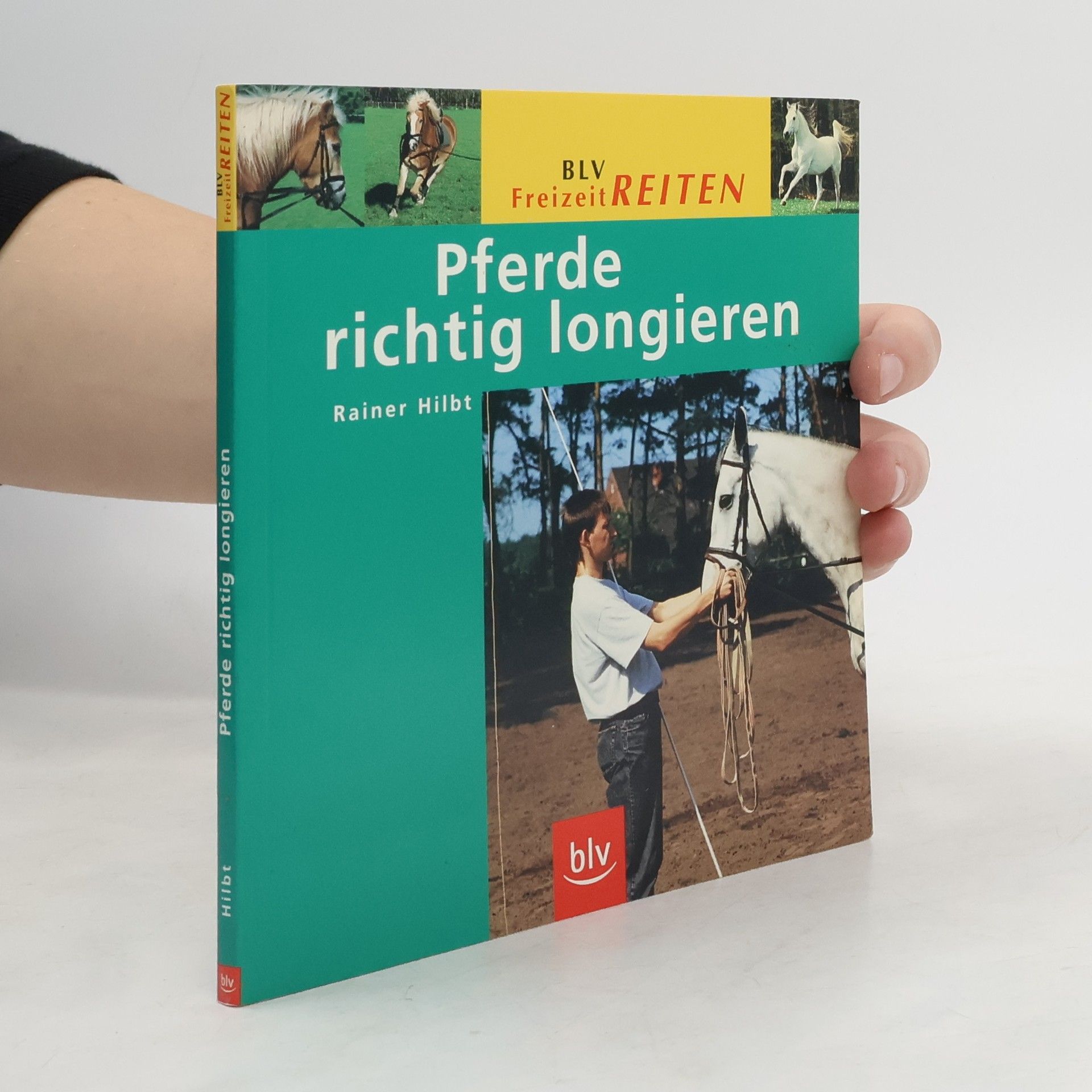 Rainer Hilbt Pferde richtig longieren