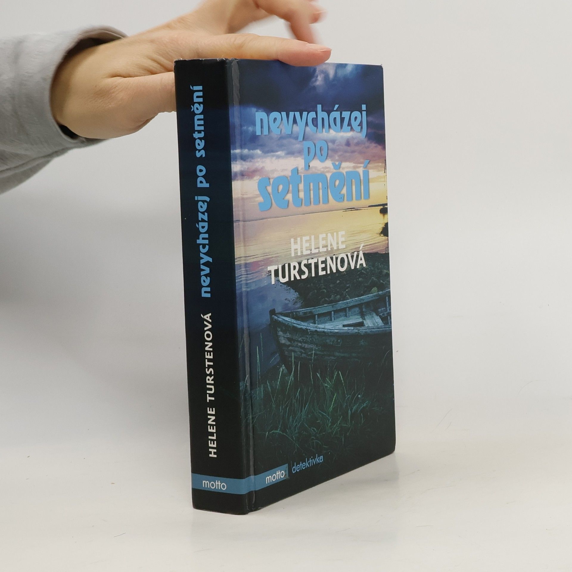 Helene Tursten Nevycházej po setmění
