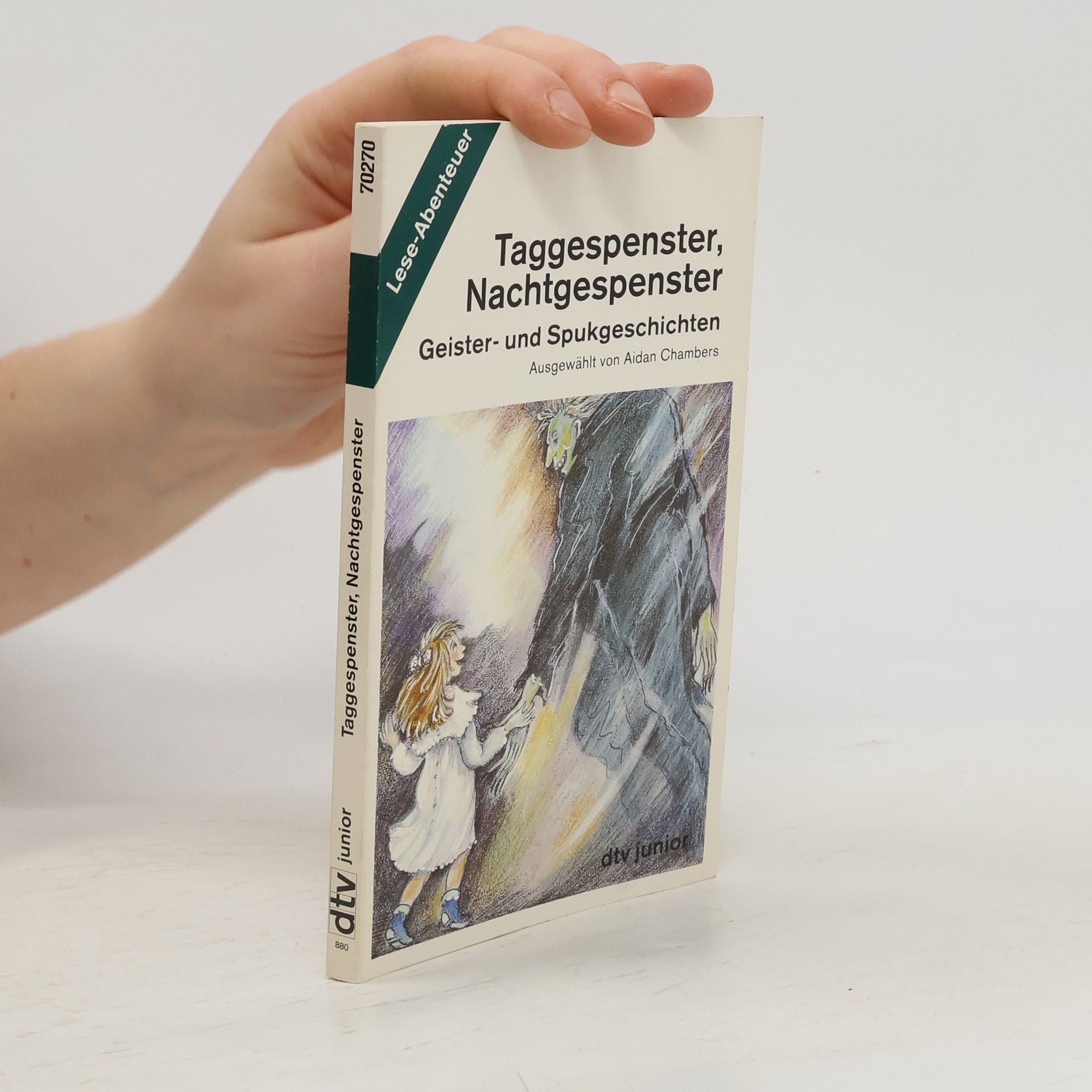 Aidan Chambers Tagesgespenster, Nachtgespenster