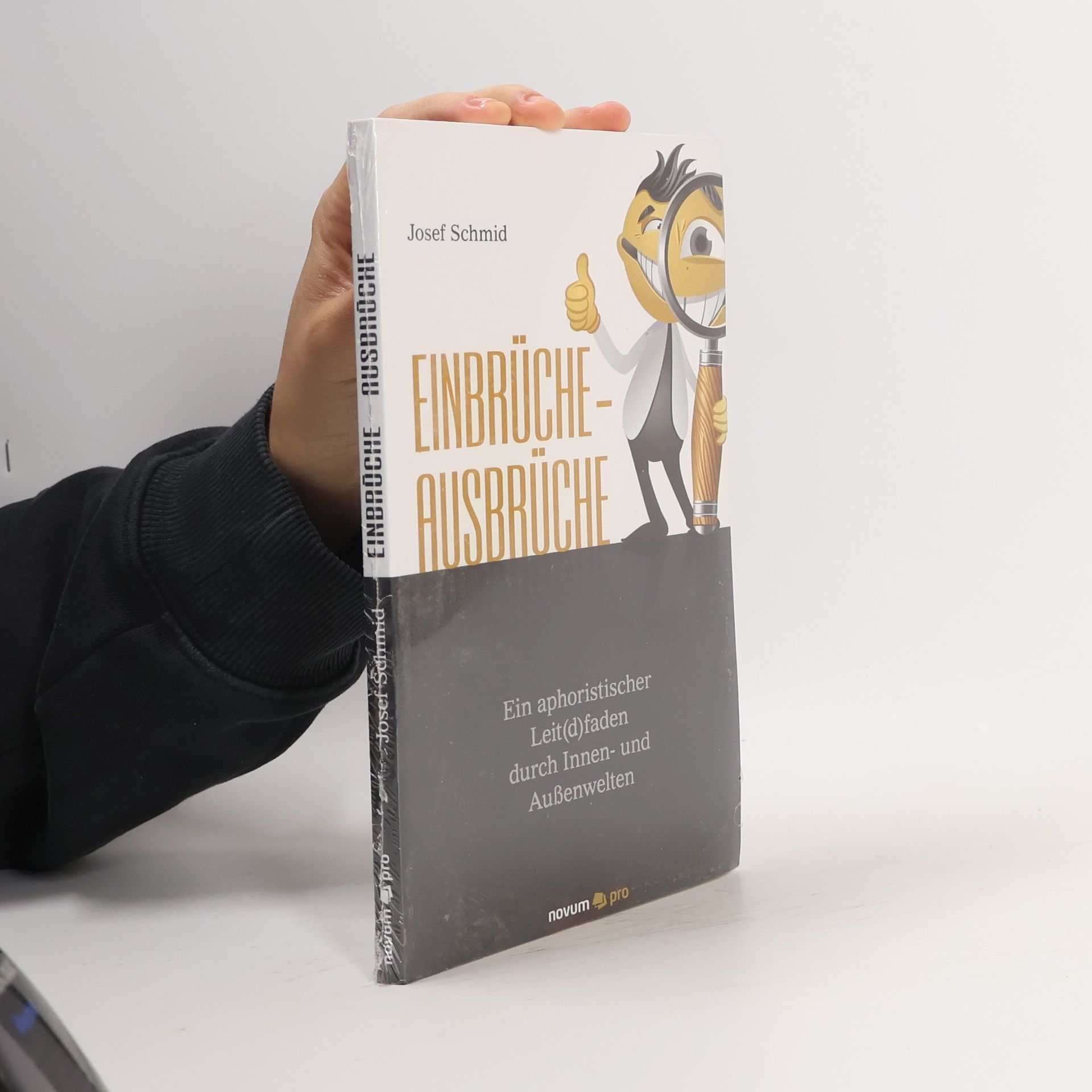 Josef Schmid Einbrüche-Ausbrüche