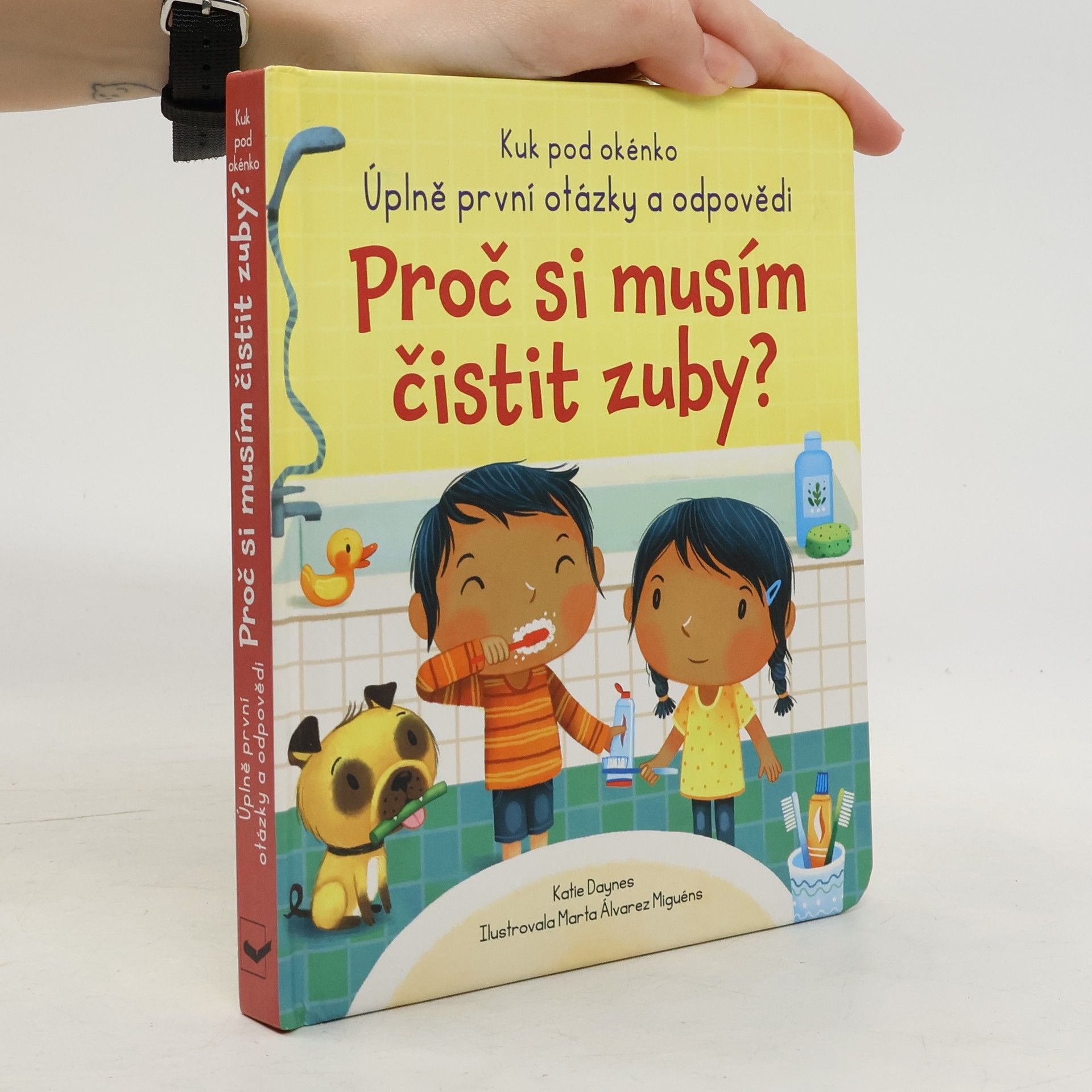 Daynes Katie. Proč si musím čistit zuby?