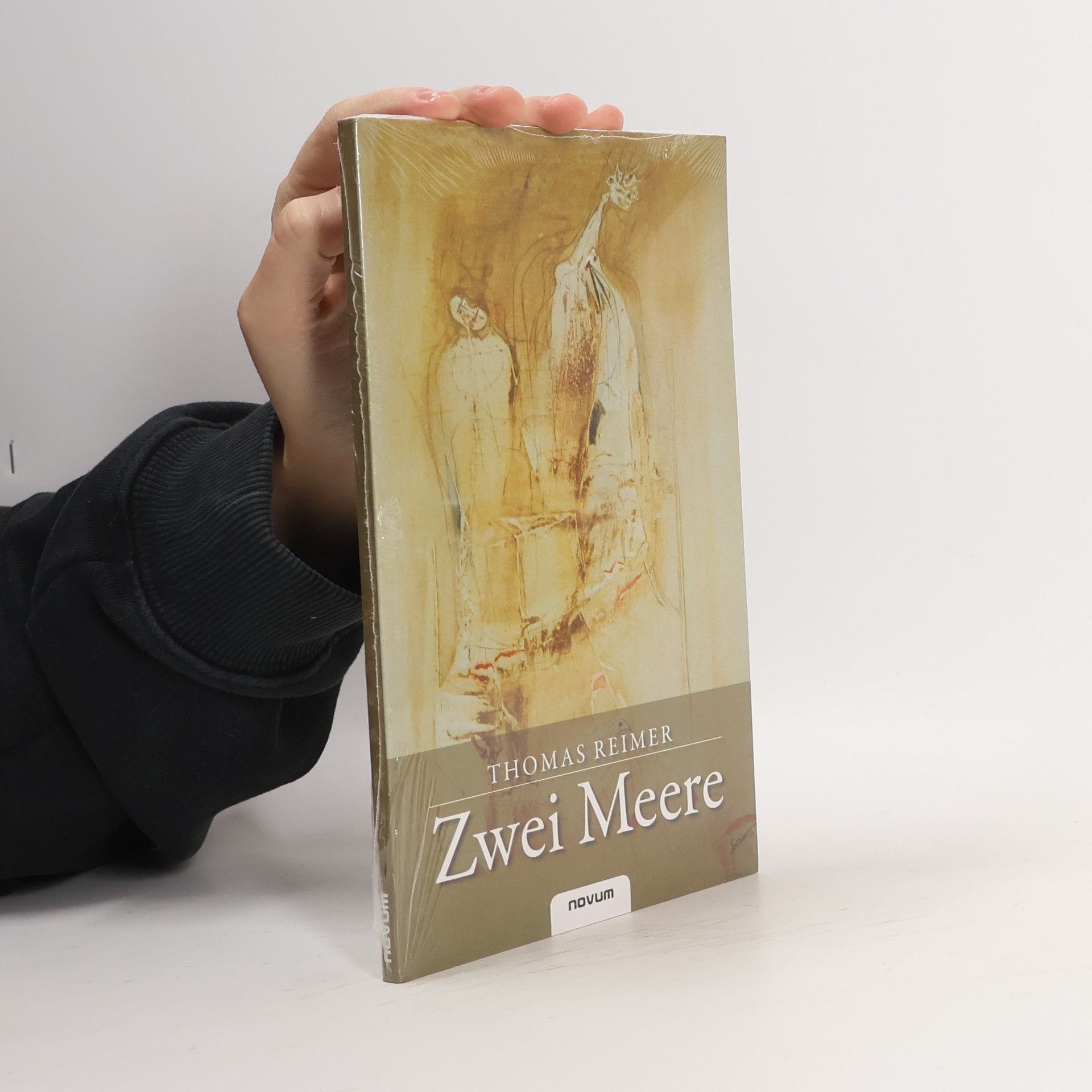 Thomas Reimers Zwei Meere