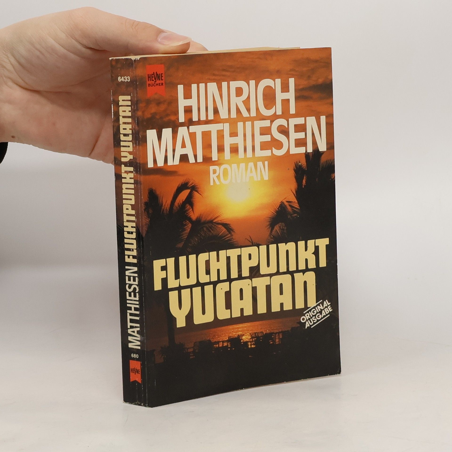 Hinrich Matthiesen Fluchtpunkt Yucatan