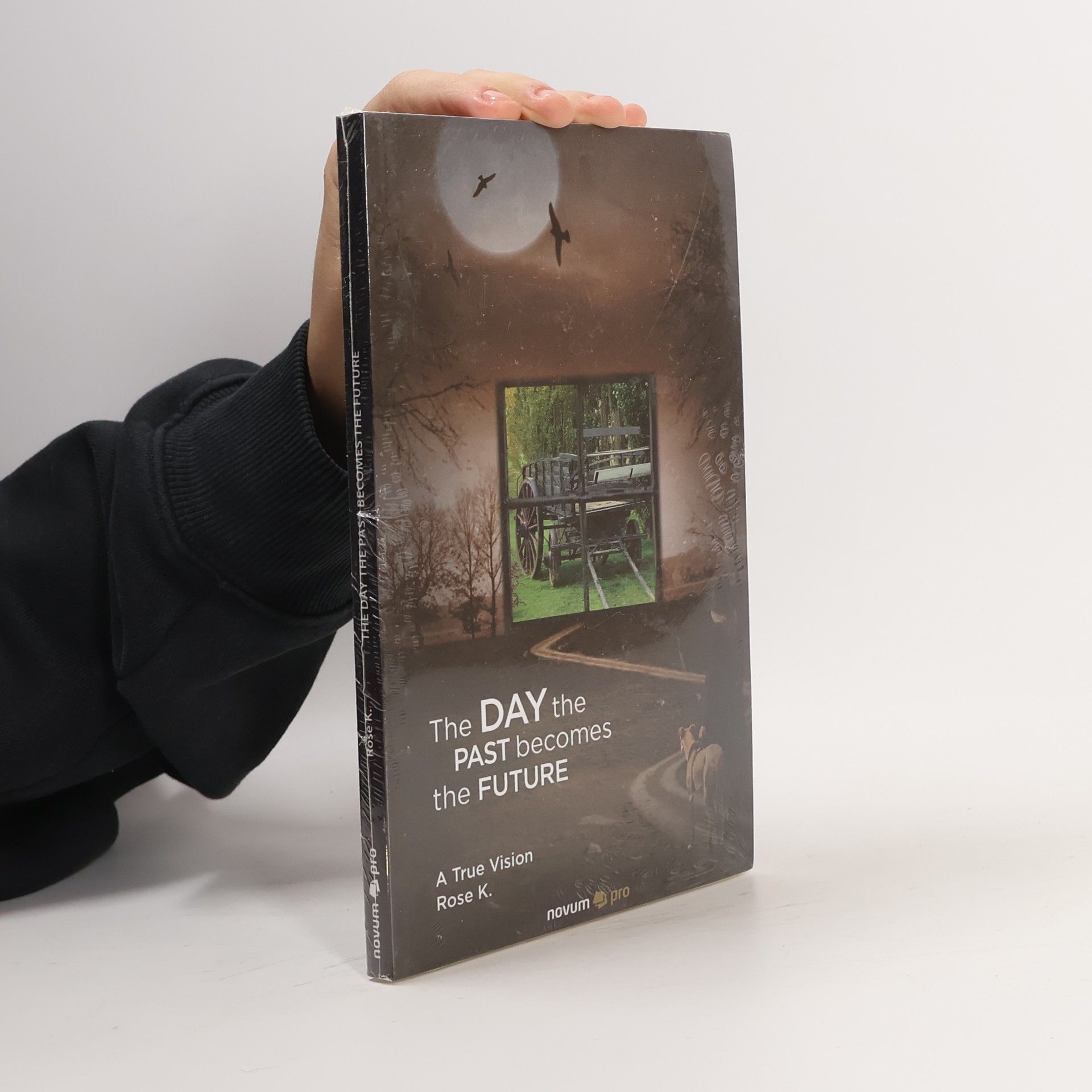 Rose K. The Day the Past Becomes the Future