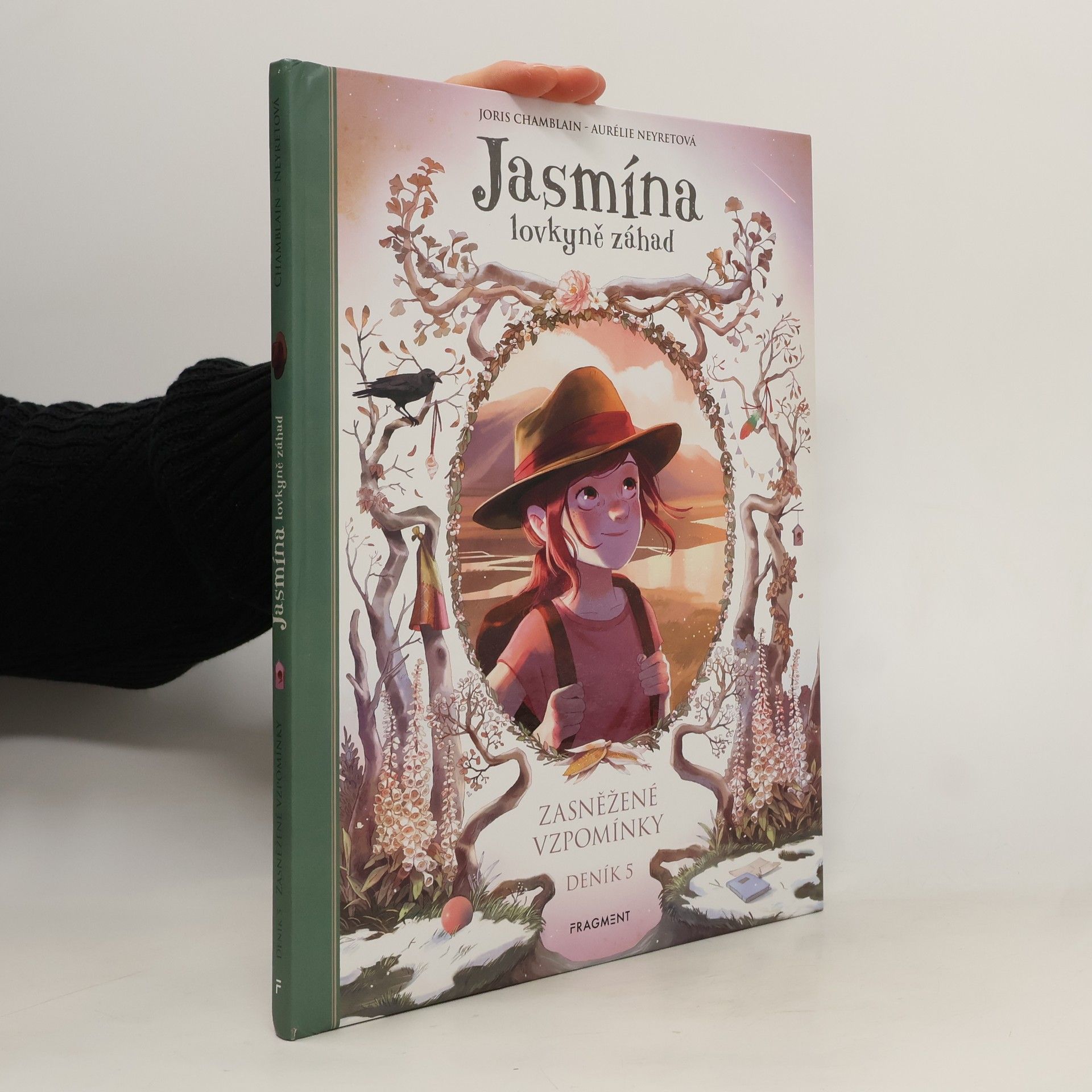 Zasněžené vzpomínky