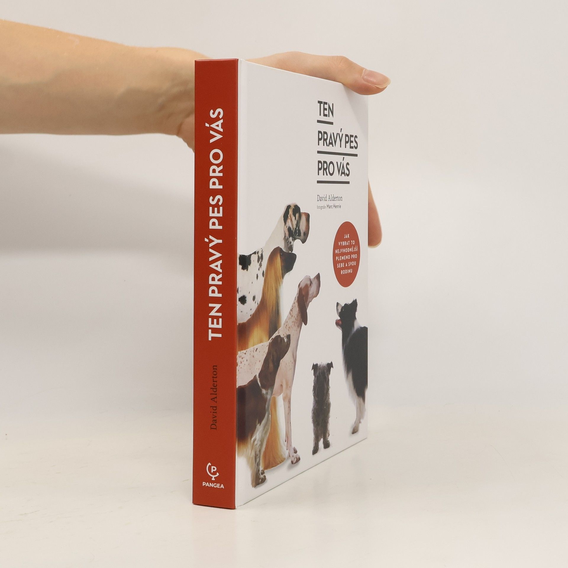 Ten pravý pes pro vás : jak vybrat to nejvhodnější plemeno pro sebe a svou rodinu