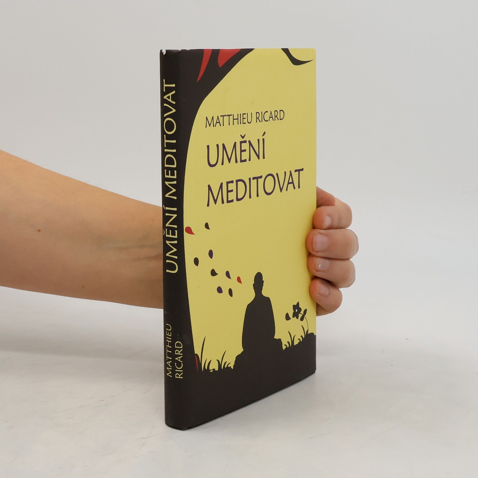 Matthieu Ricard Umění meditovat