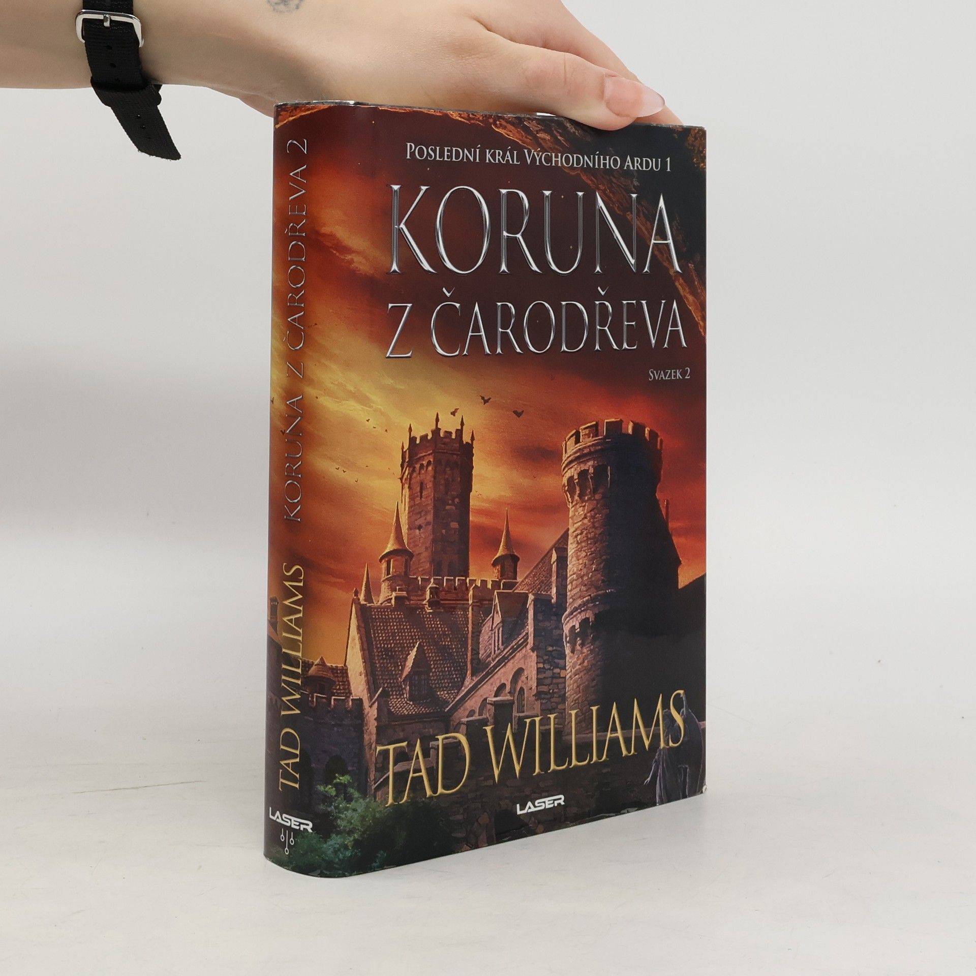 Tad Williams Koruna z čarodřeva – Svazek 2