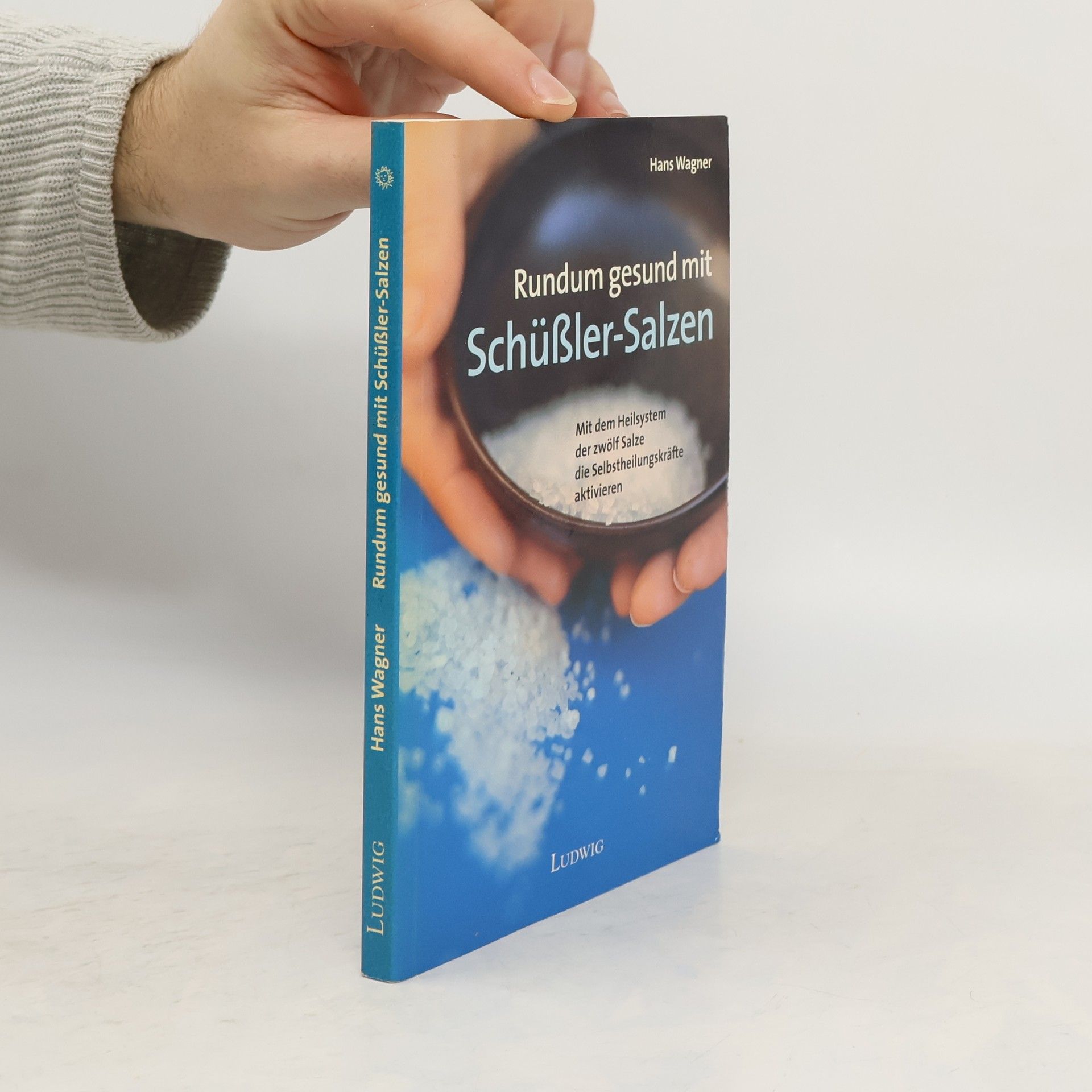 Hans Wagner Rundum gesund mit Schüßler-Salzen