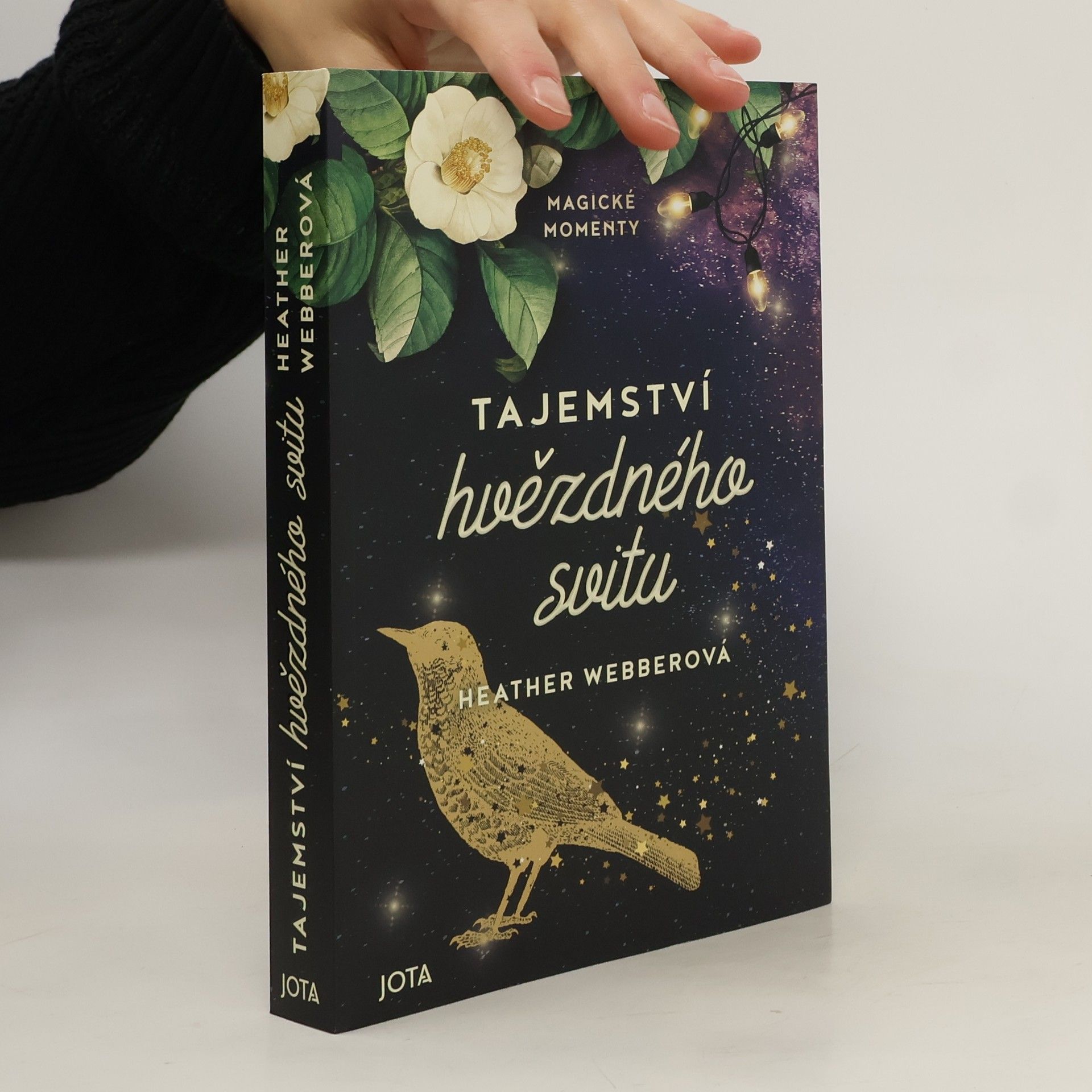 Heather Webber Tajemství hvězdného svitu