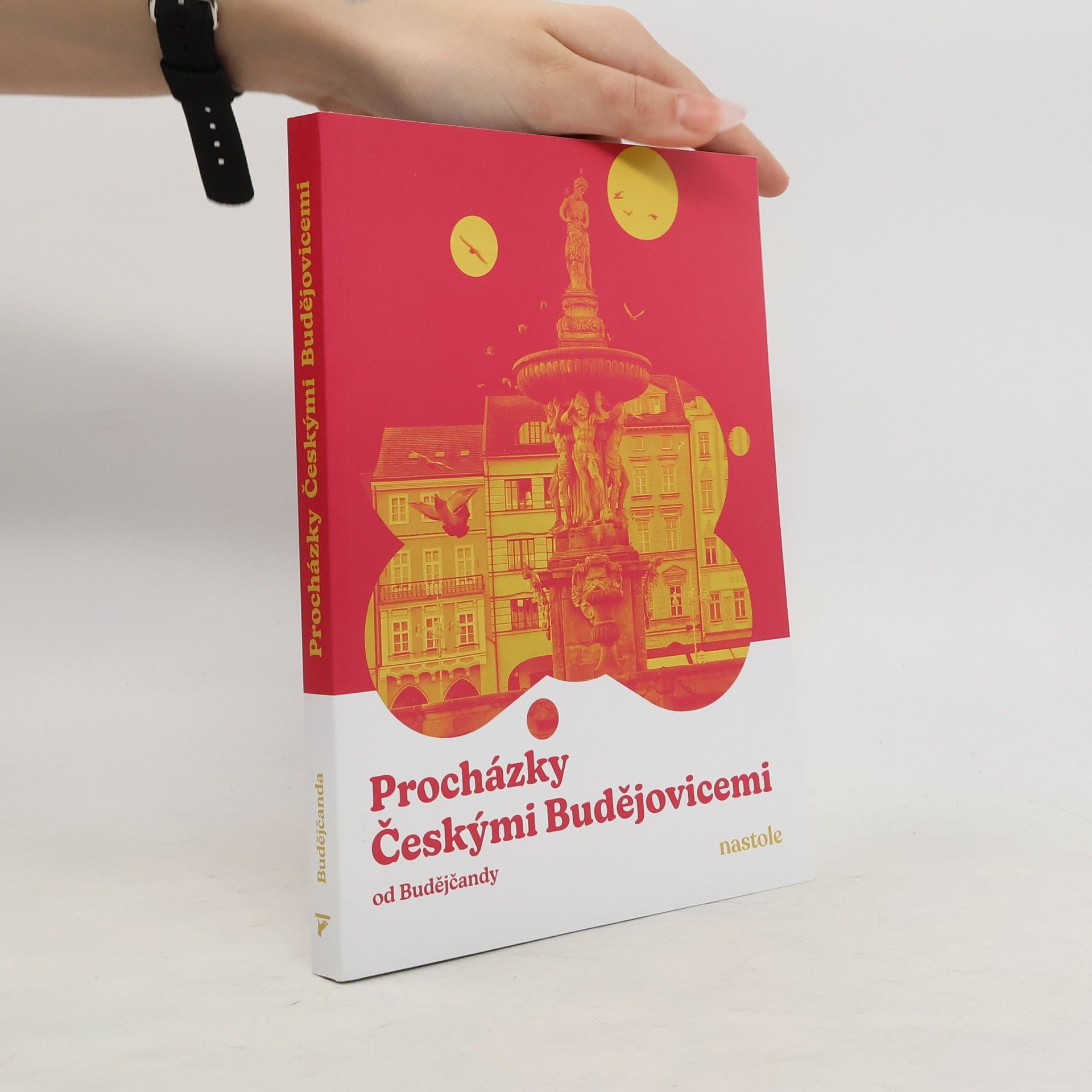 Budějčanda Procházky Českými Budějovicemi