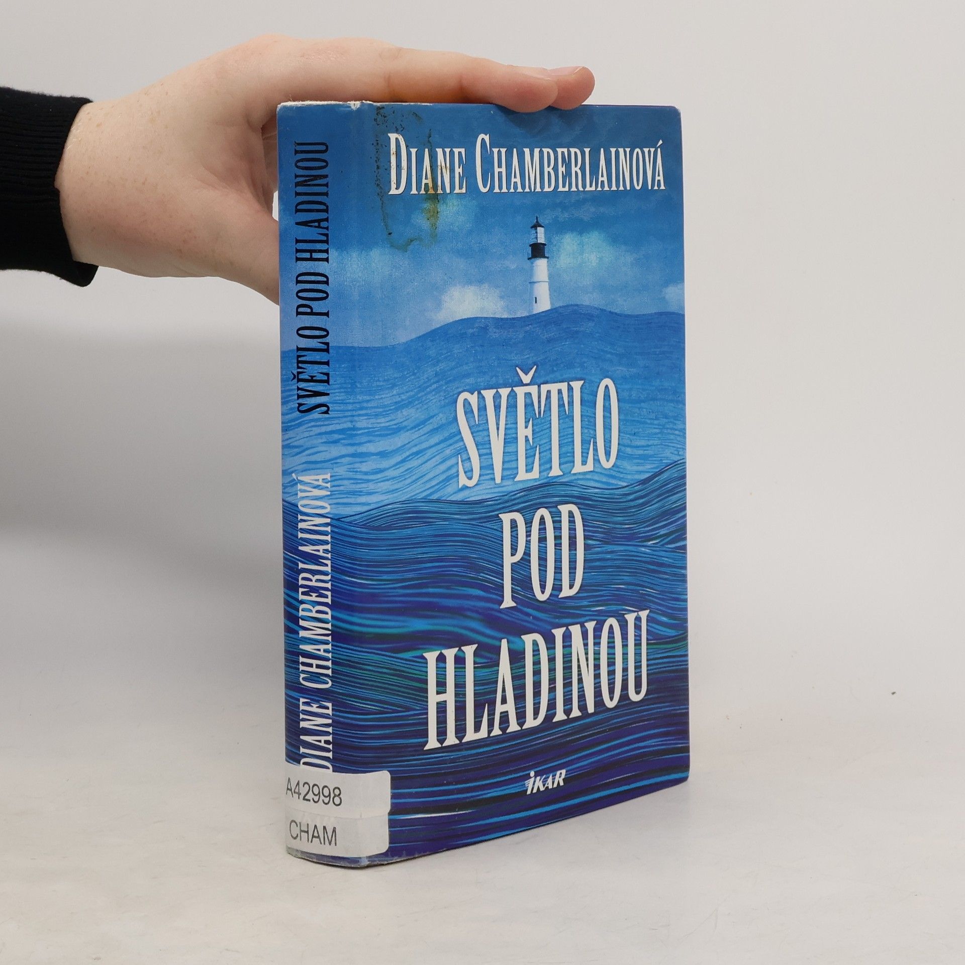 Diane Chamberlain Světlo pod hladinou