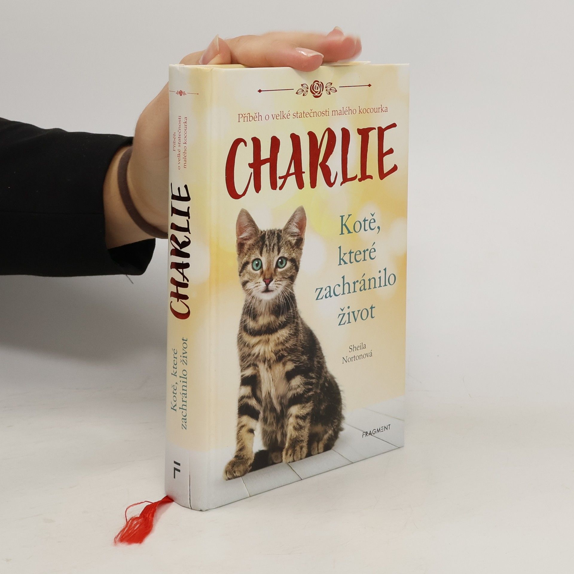 Charlie - kotě, které zachránilo život