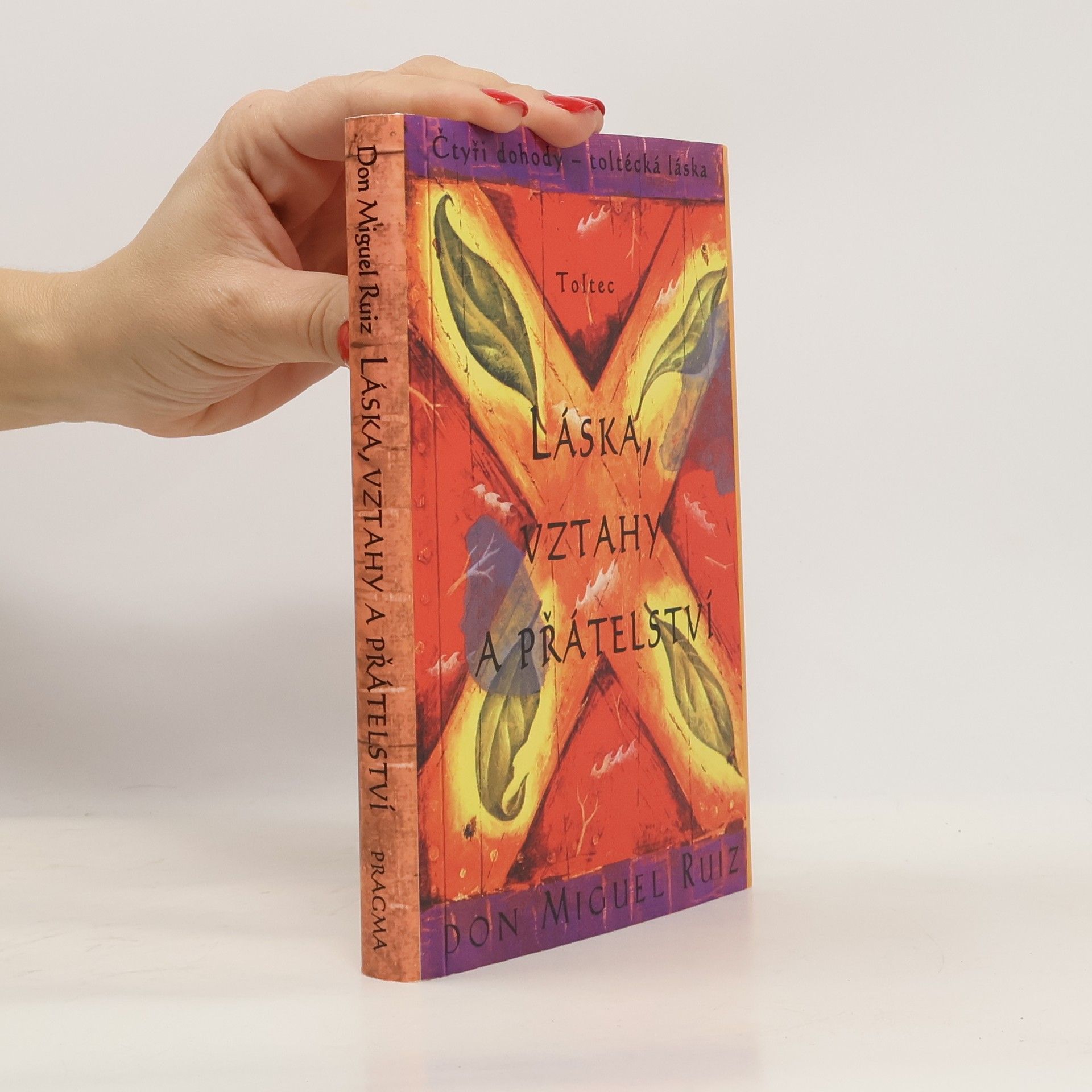 Don Miguel Ruiz Láska, vztahy a přátelství