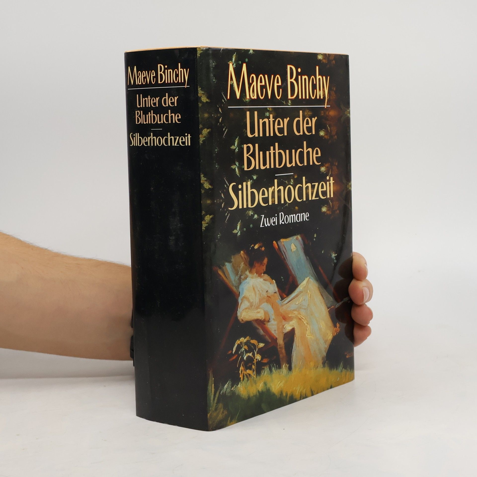 Maeve Binchy Unter der Blutbuche. Silberhochzeit