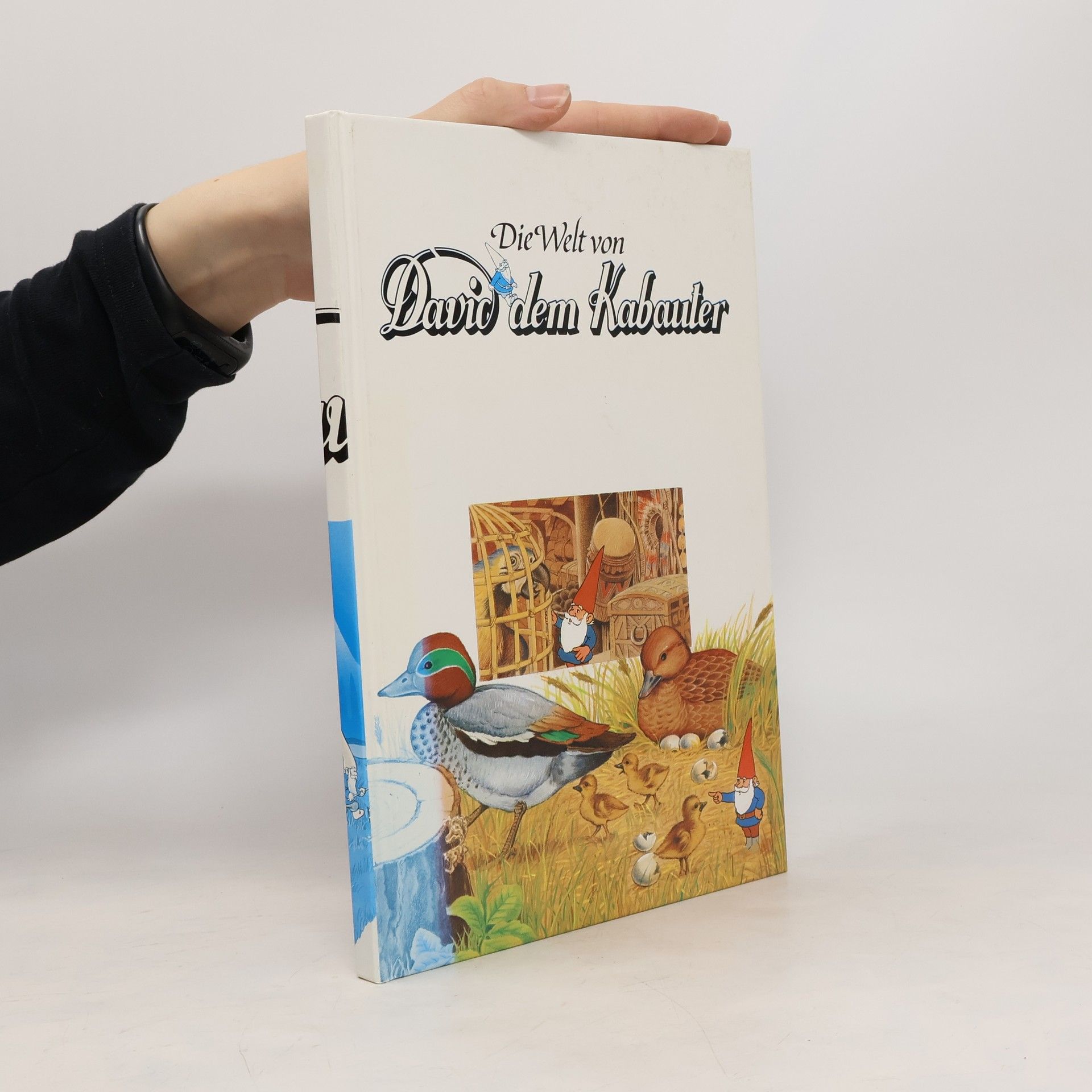 AA.VV. Die Welt von David dem Kabauter 5