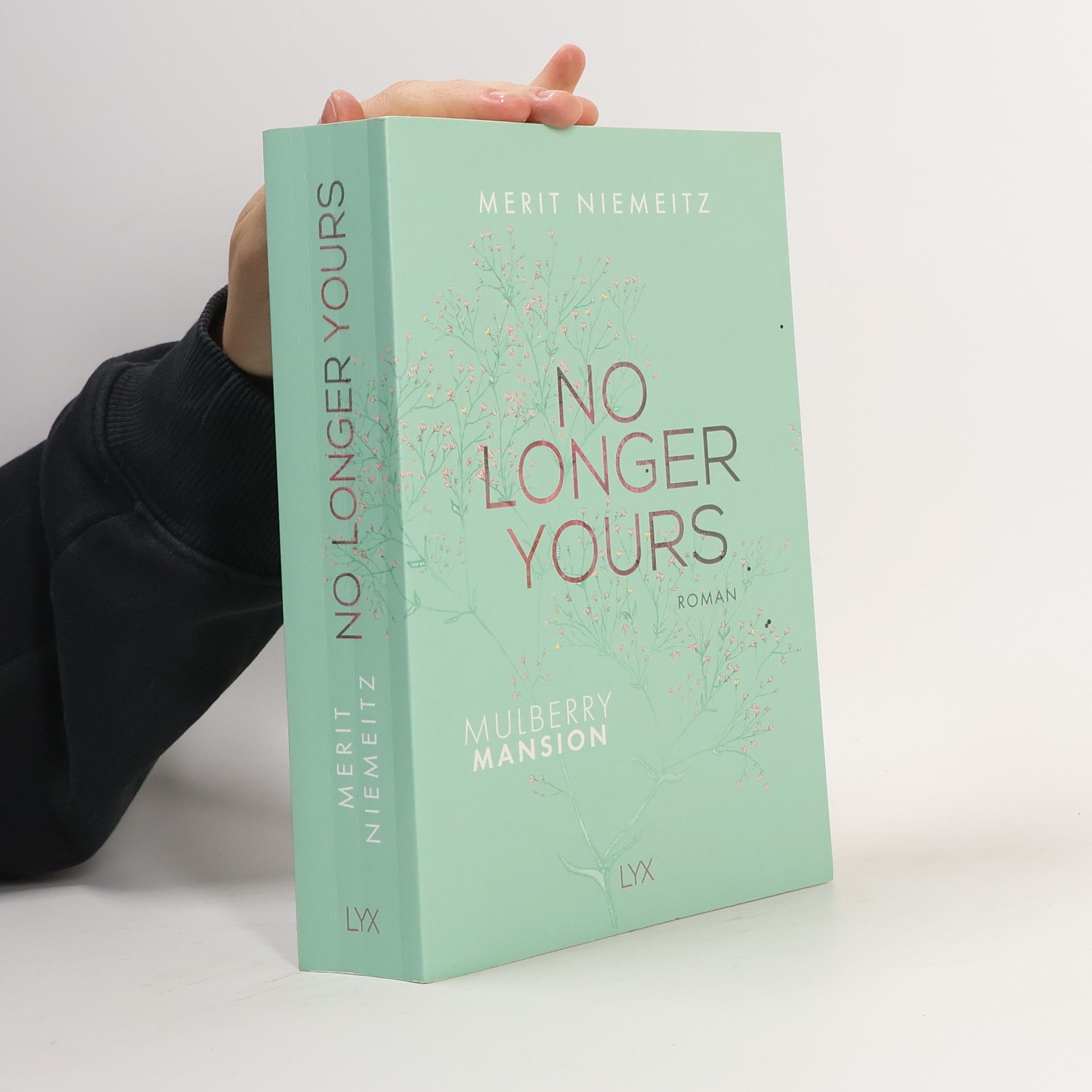 Merit Niemeitz No Longer Yours