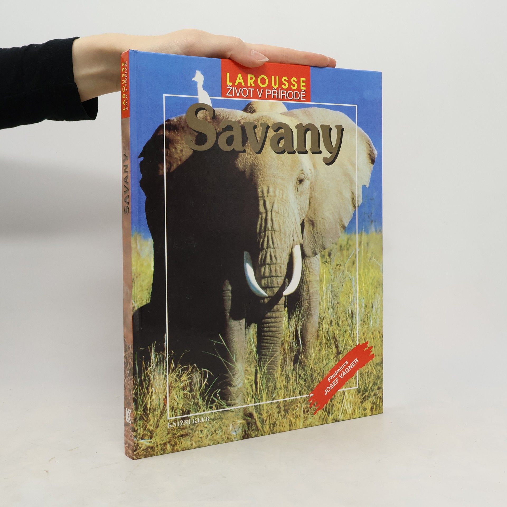 Various authors Savany