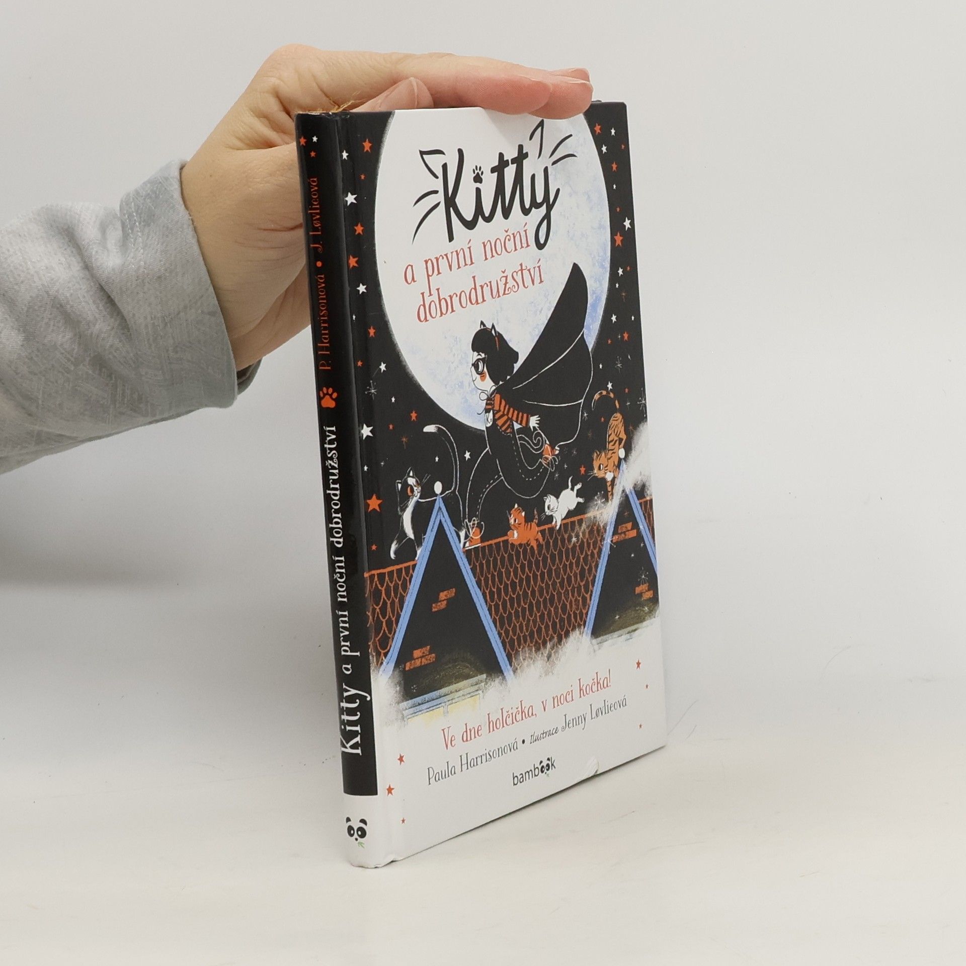 Paula Harrison Kitty a první noční dobrodružství