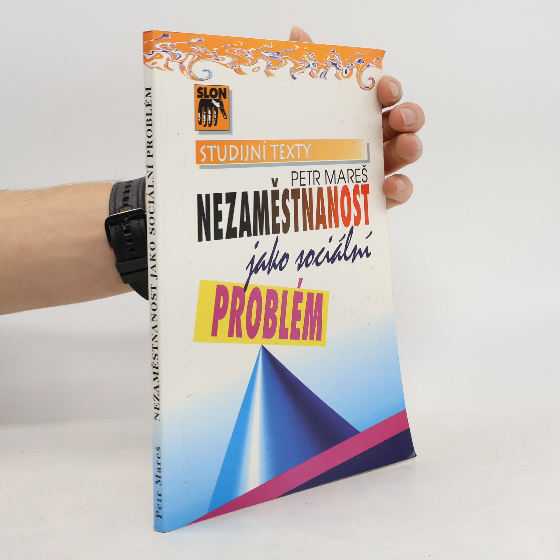 Petr Mareš Nezaměstnanost jako sociální problém