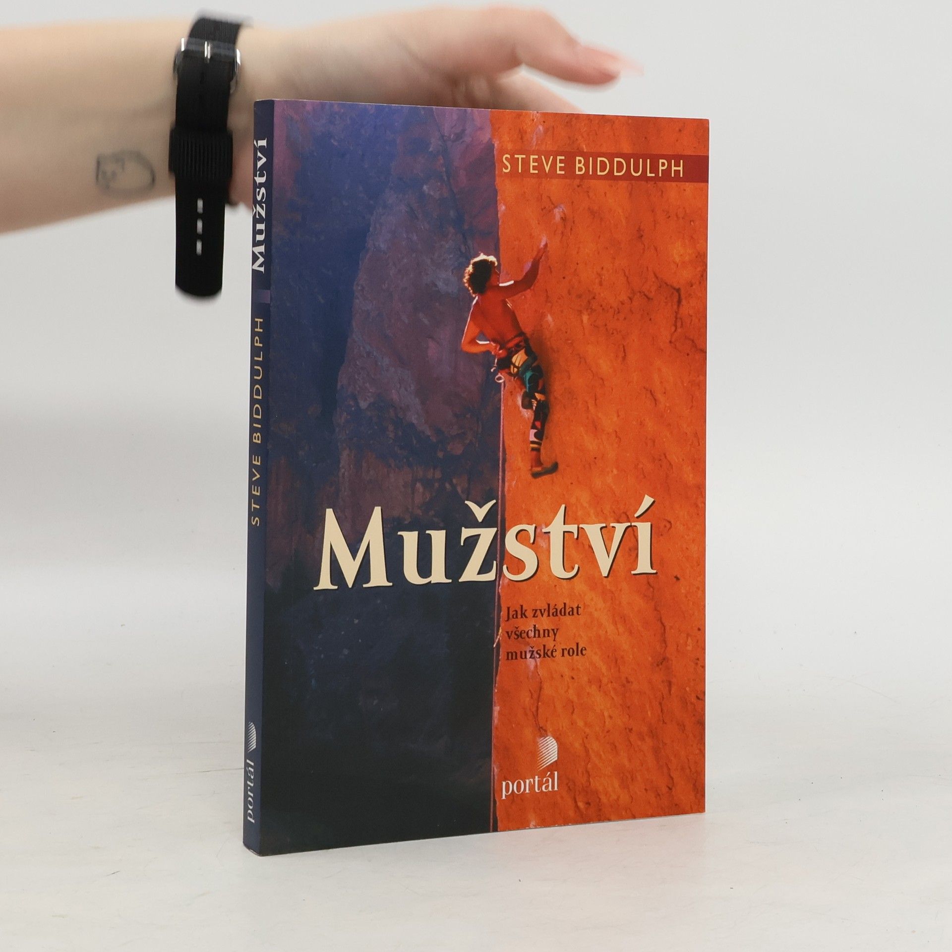 Steve Biddulph Mužství : jak zvládat všechny mužské role