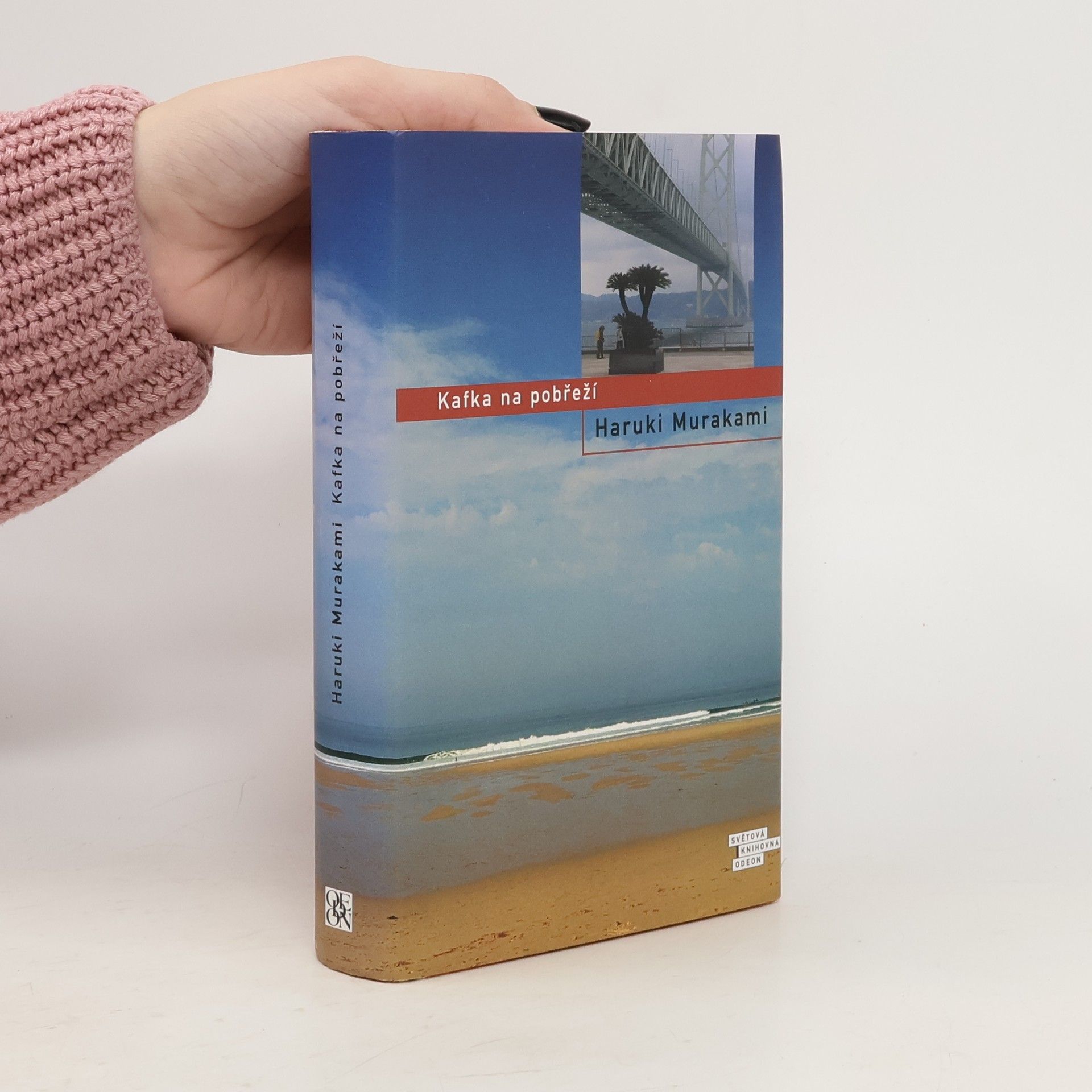 Haruki Murakami Kafka na pobřeží