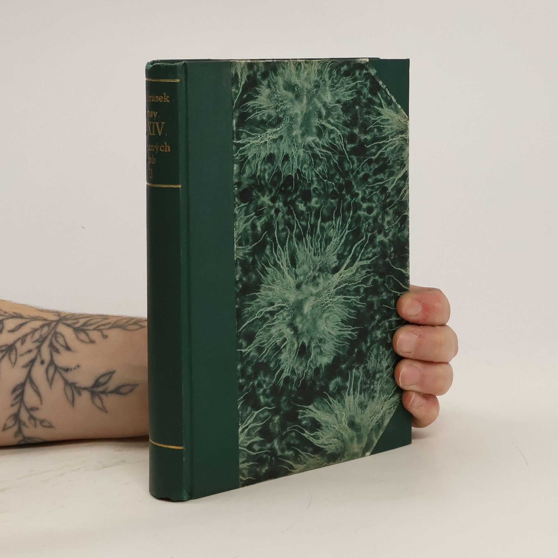 Alois Jirásek Spisy XXIV. Z různých dob II