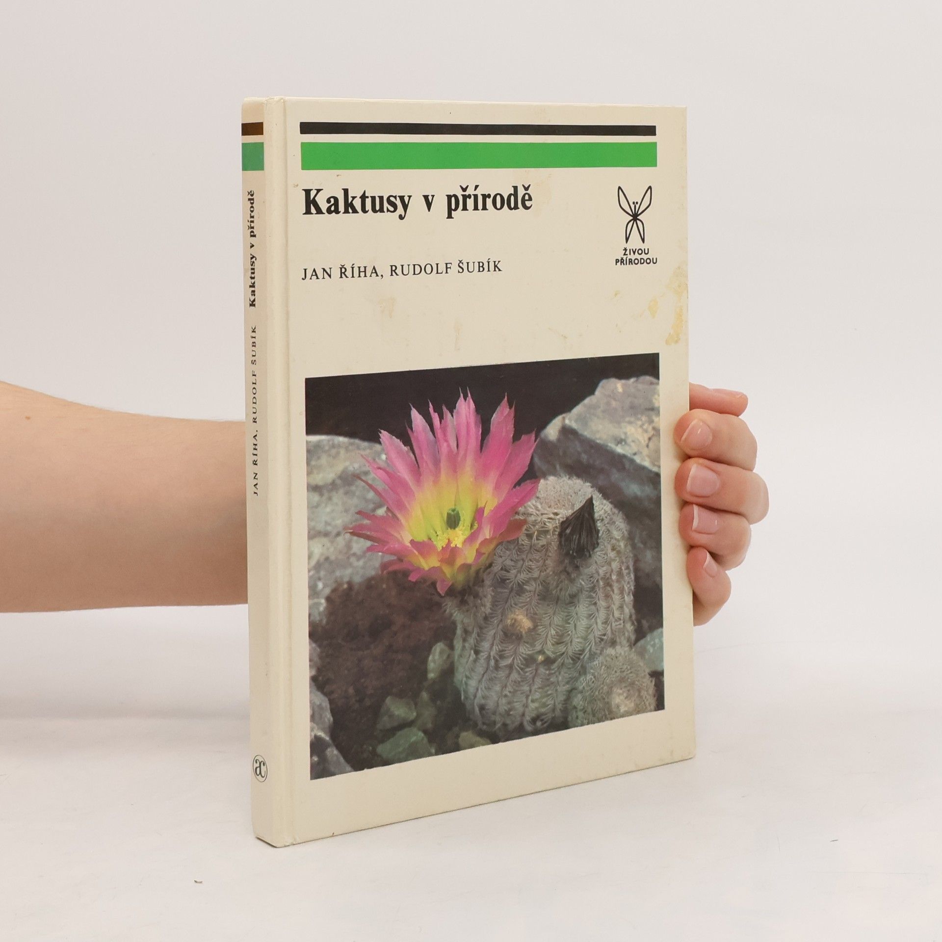 Kaktusy v přírodě