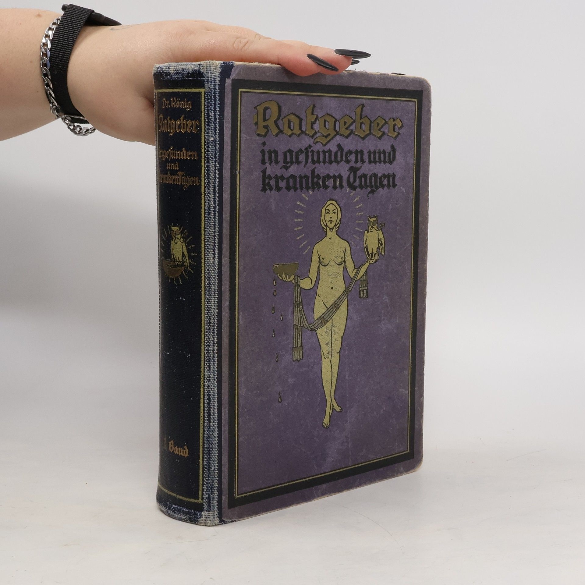 Ratgeber in gefunden und kranken Tagen 1. Band