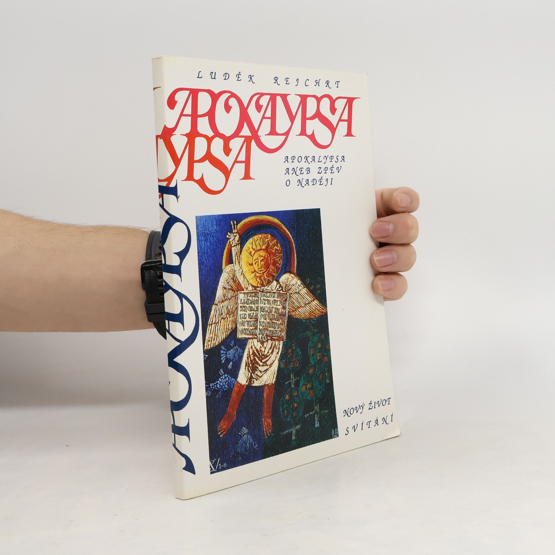 Luděk Rejchrt Apokalypsa aneb Zpěv o naději
