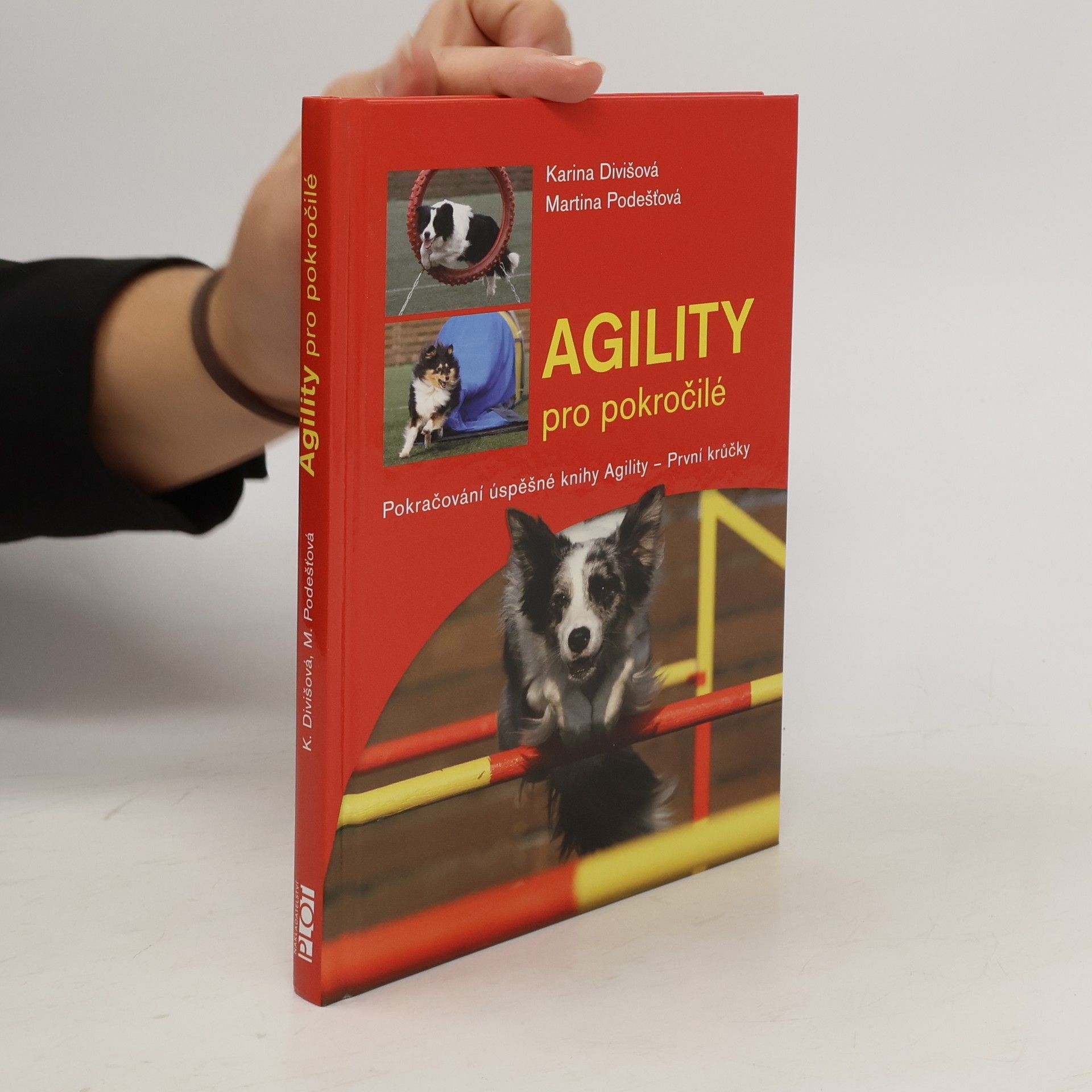 Agility: Pro pokročilé