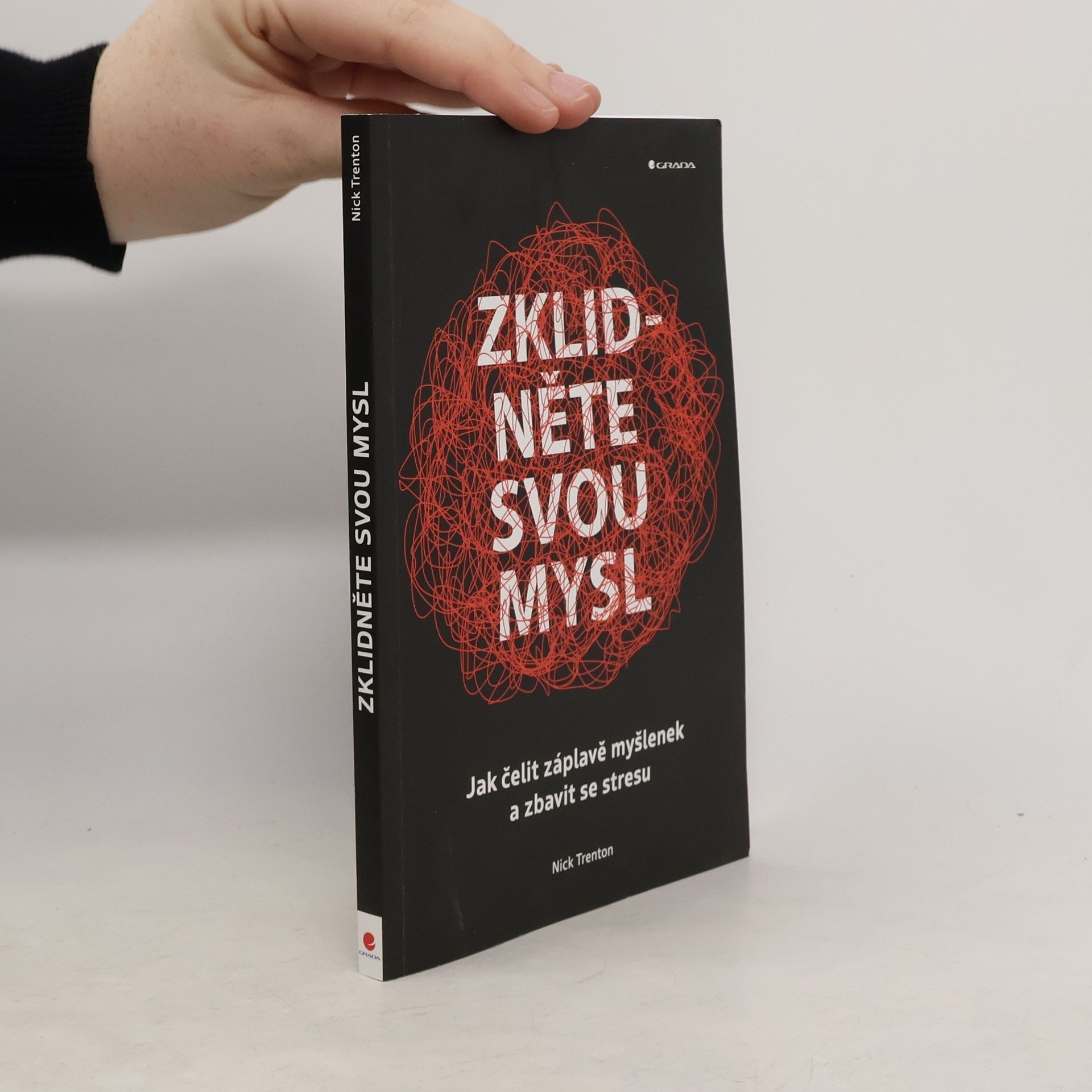 Zklidněte svou mysl - Jak čelit záplavě myšlenek a zbavit se stresu