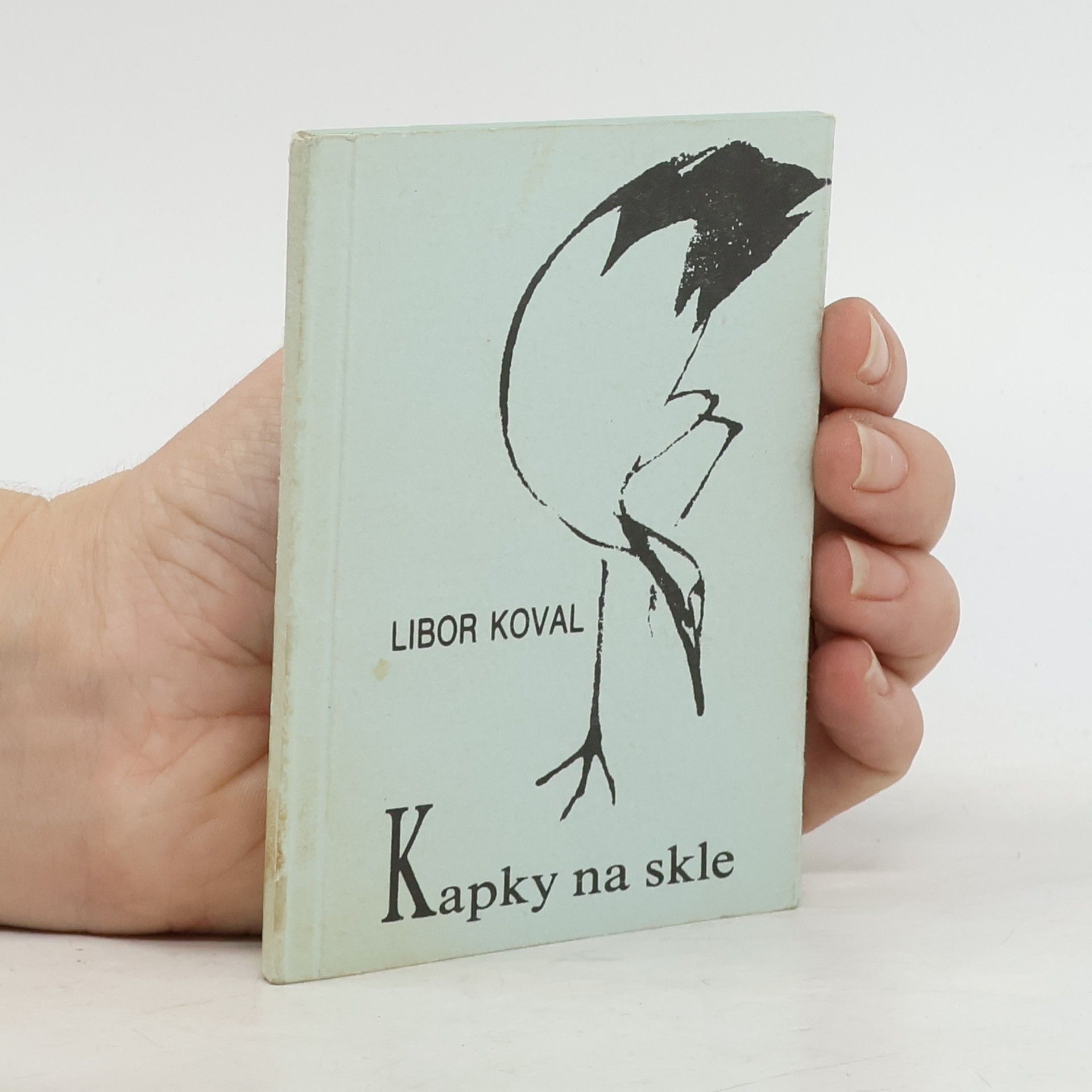 Libor Koval Kapky na skle
