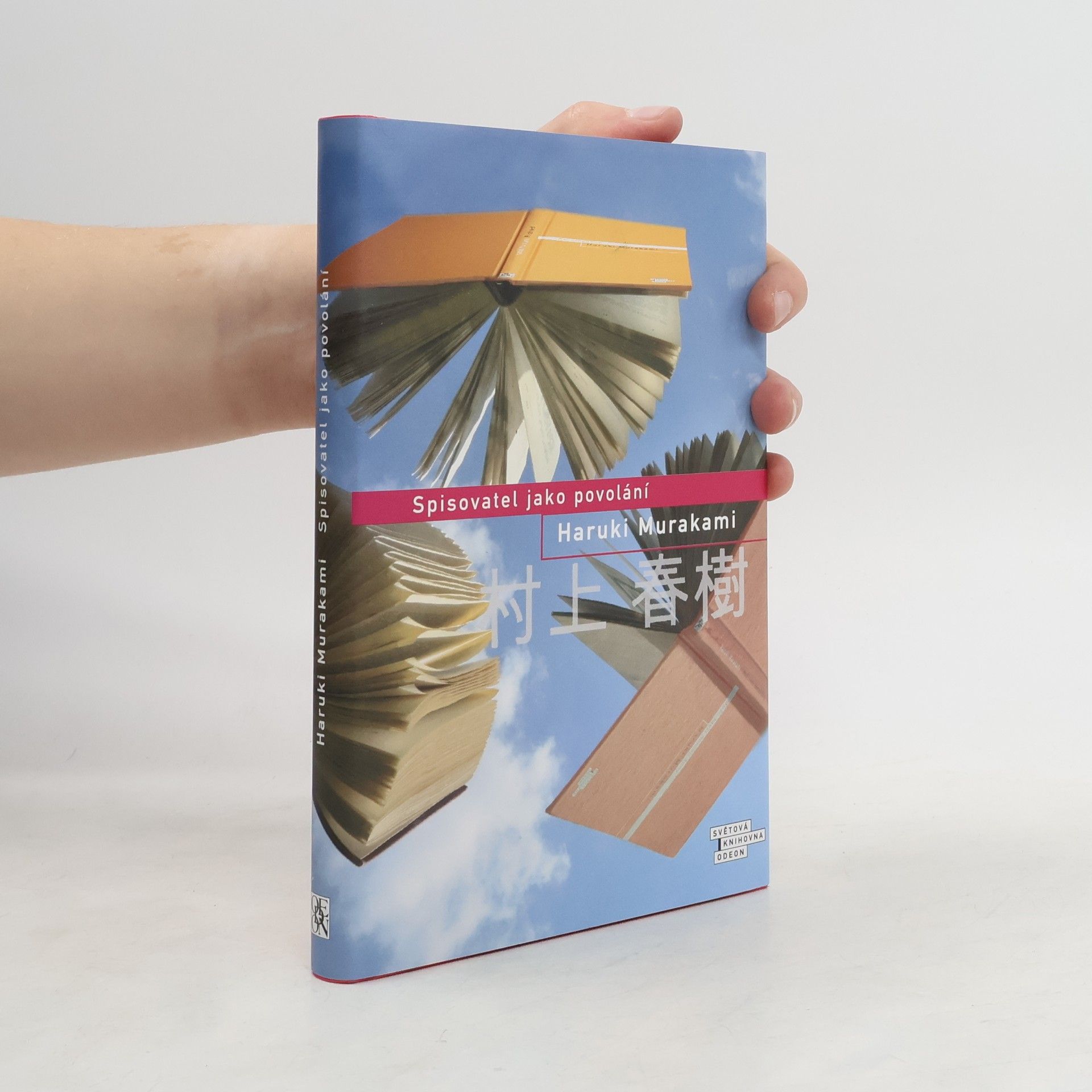 Spisovatel jako povolání