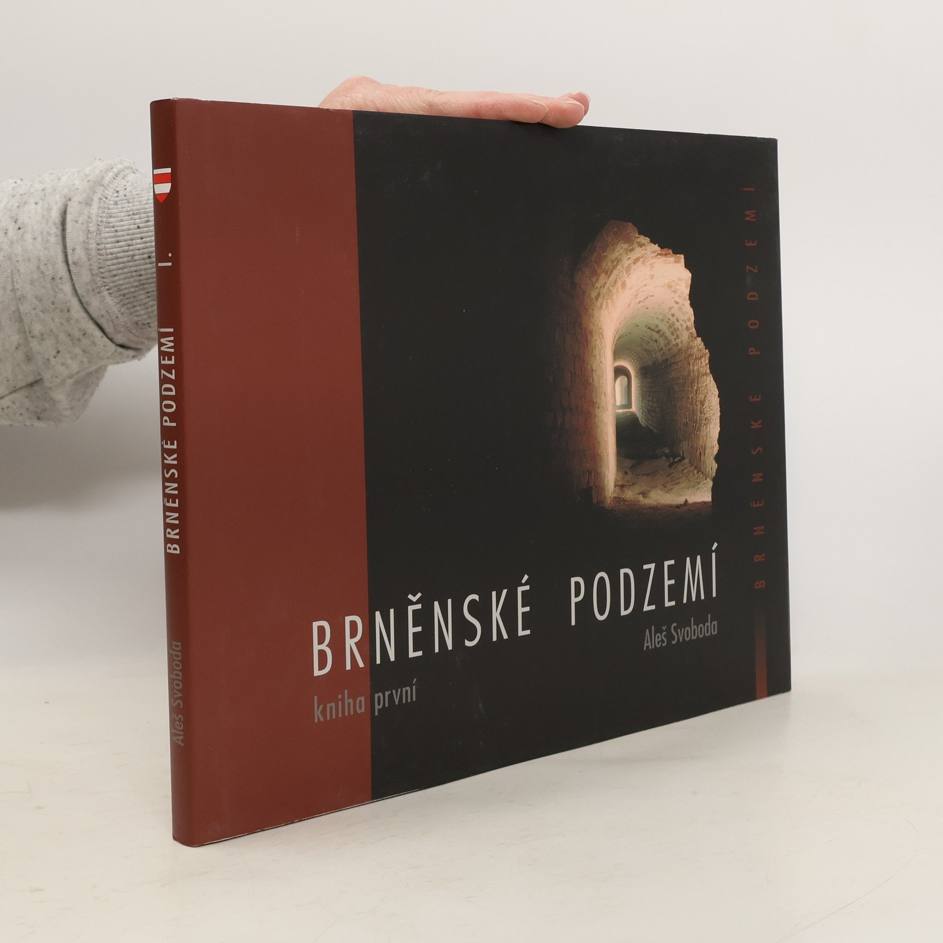 Aleš Svoboda Brněnské podzemí - Kniha první