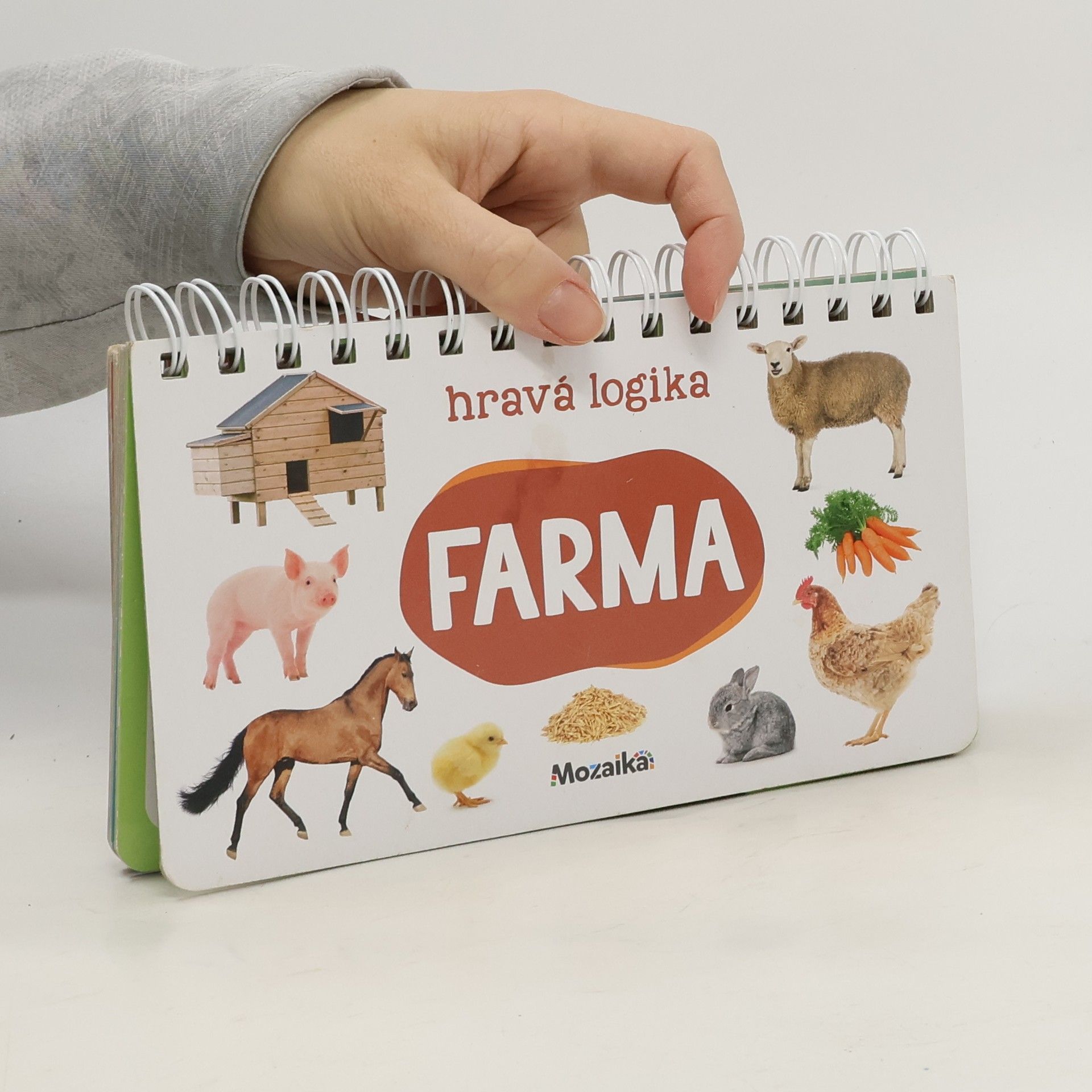 Auteurscollectief Hravá logika: farma