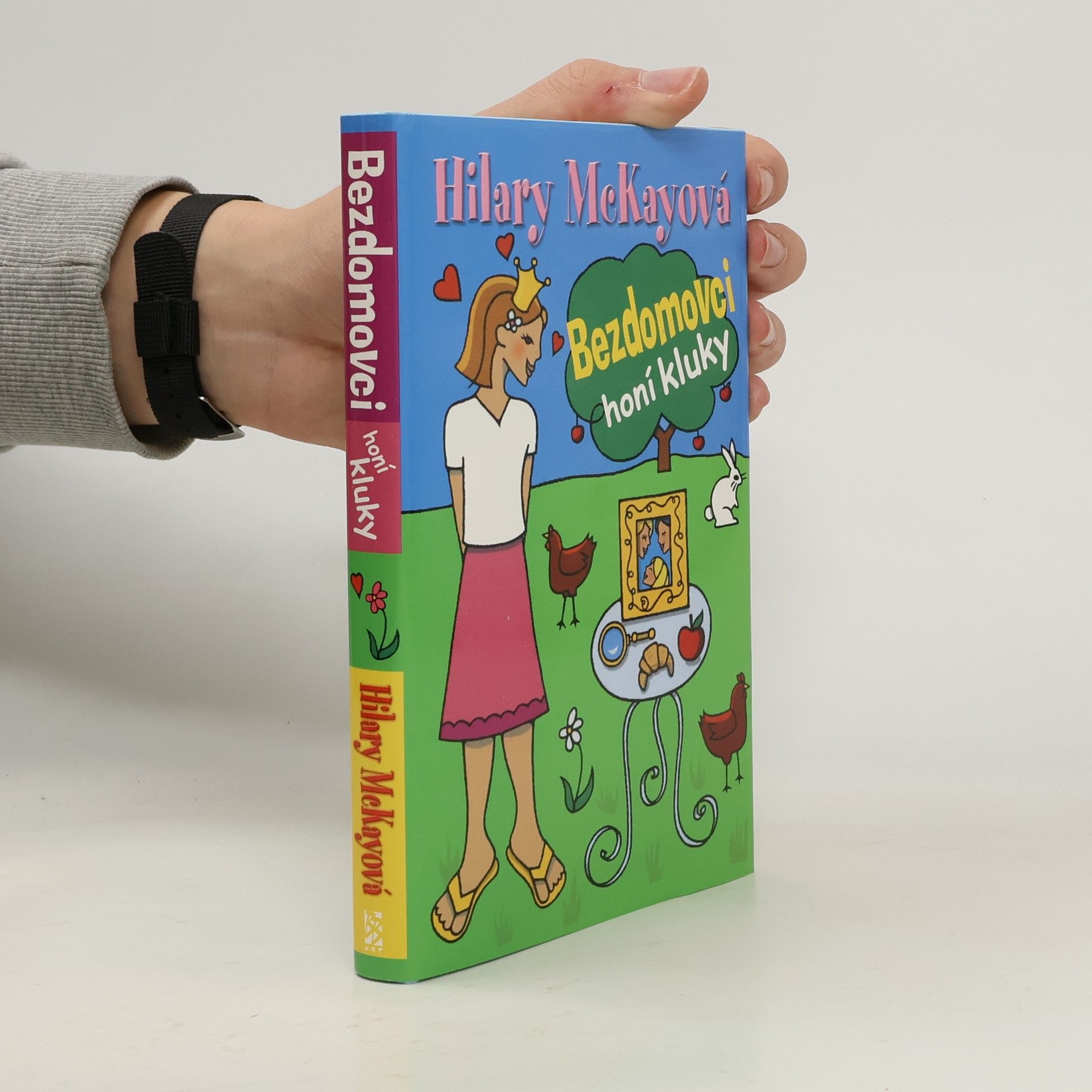 Hilary McKay Bezdomovci honí kluky