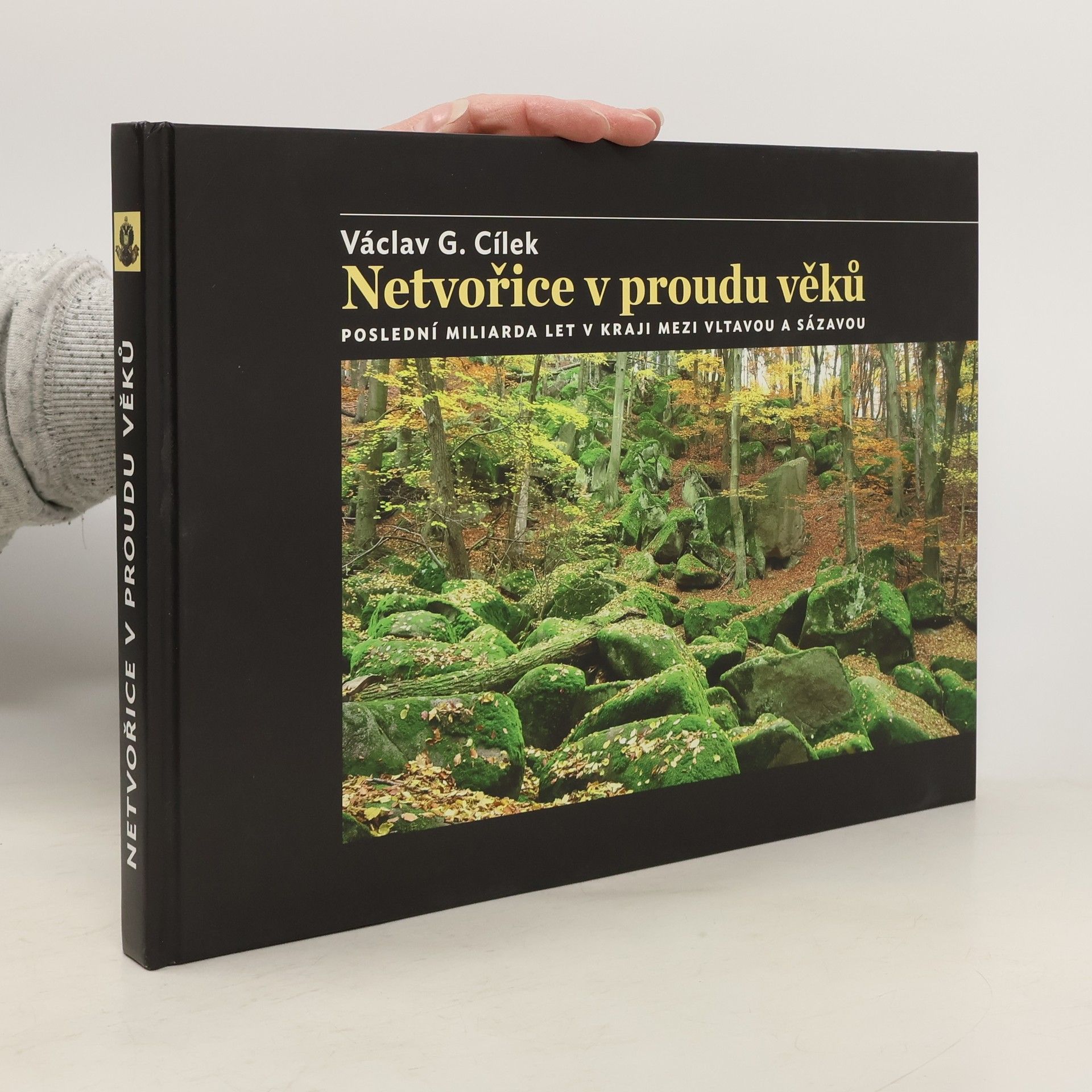 Netvořice v proudu věků