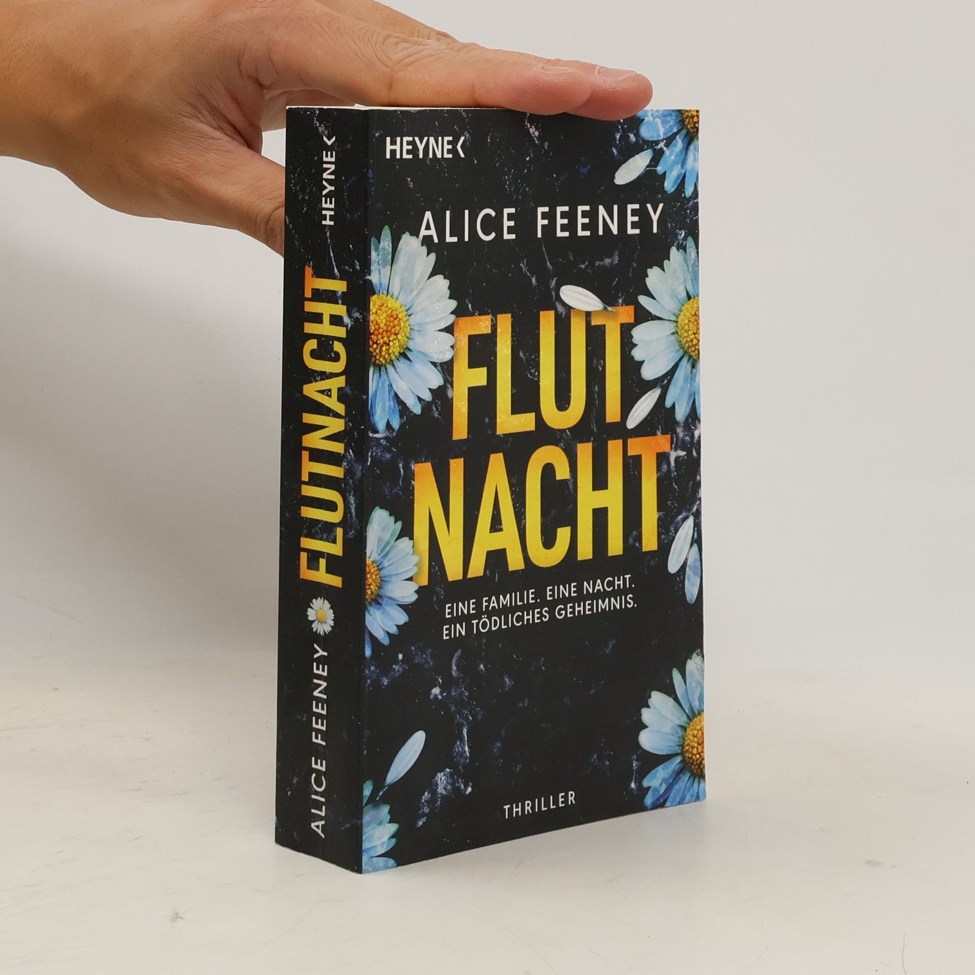 Flutnacht – Eine Familie. Eine Nacht. Ein tödliches Geheimnis.. Thriller