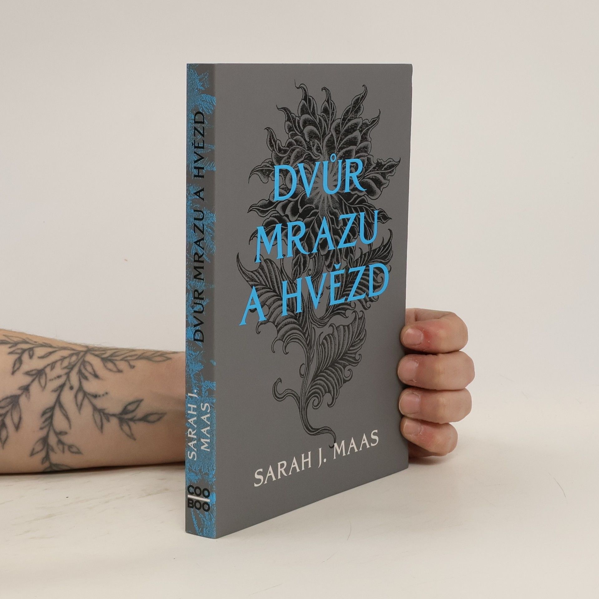 Sarah J. Maas Dvůr mrazu a hvězd