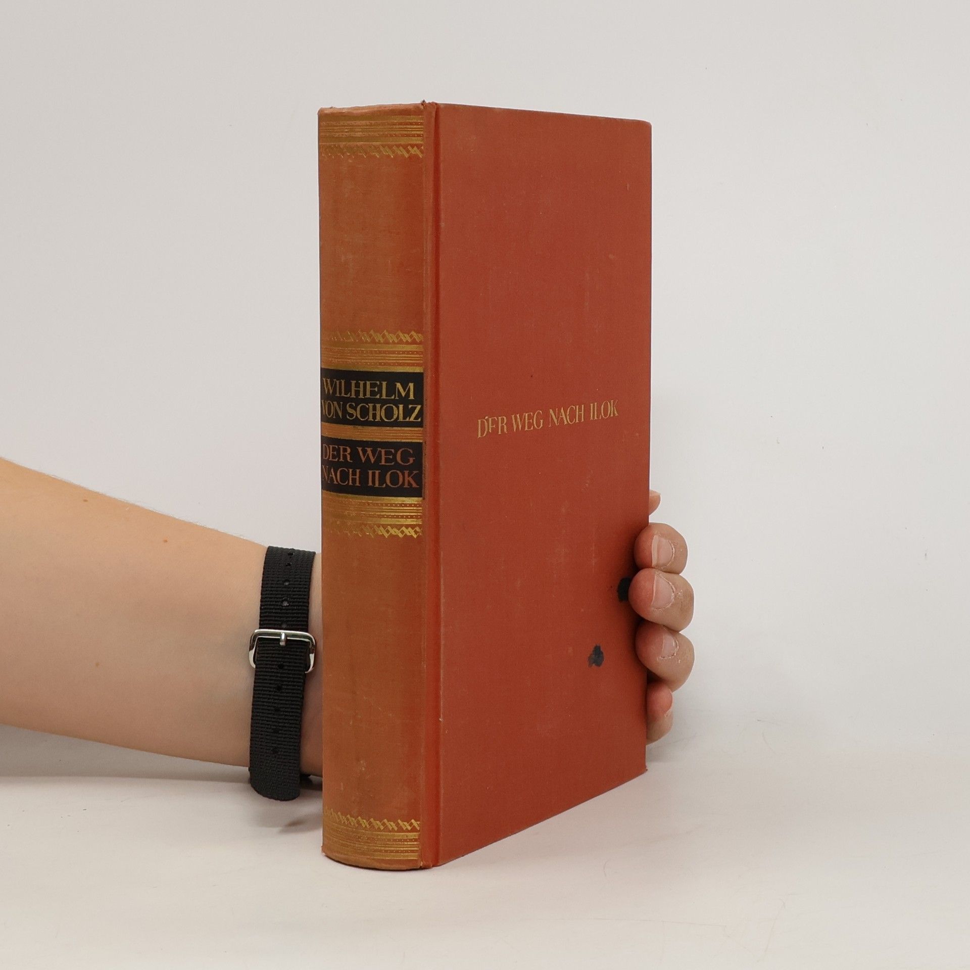 Wilhelm von Scholz Der Weg nach Ilok