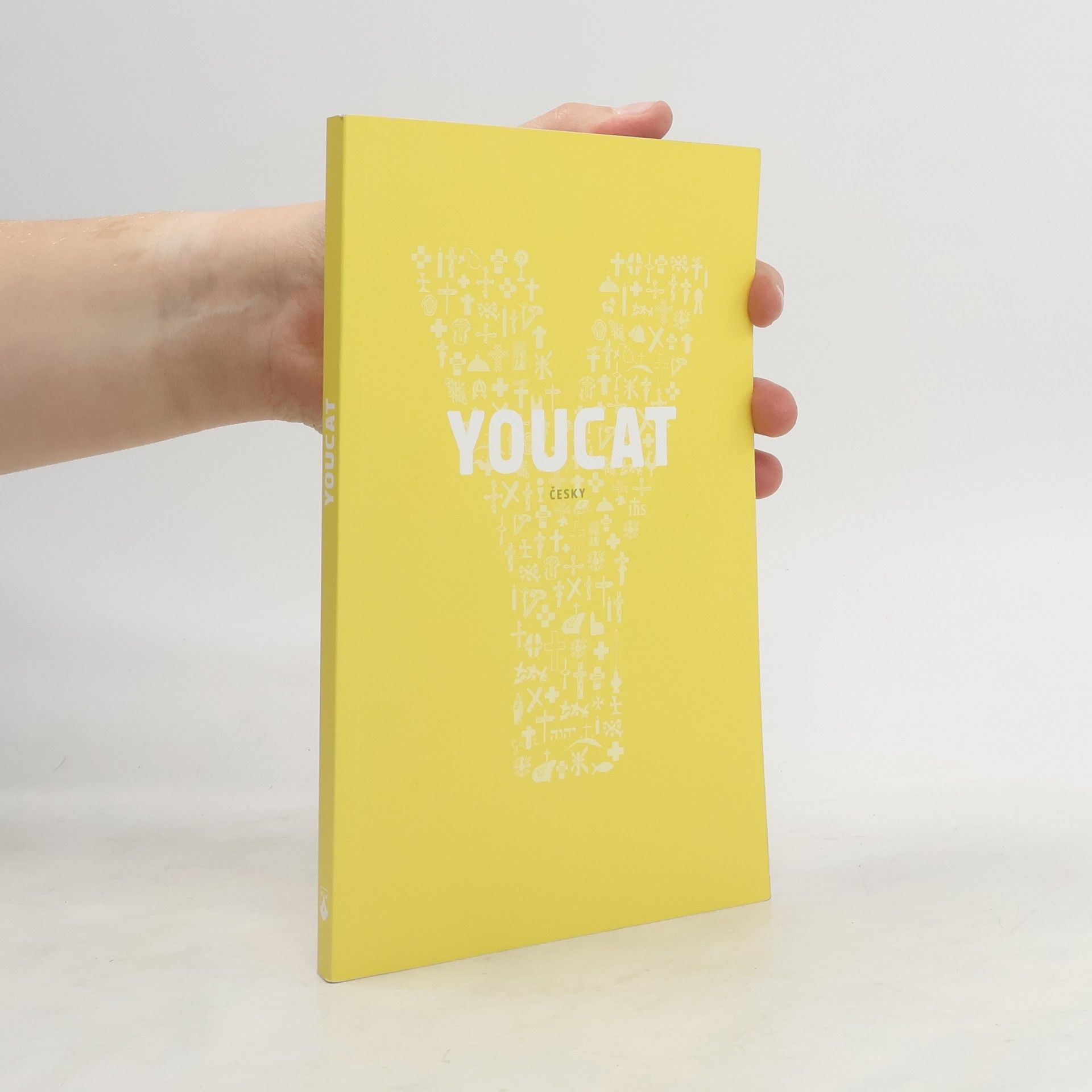 Kolektív autorov Youcat: katechismus katolické církve pro mladé